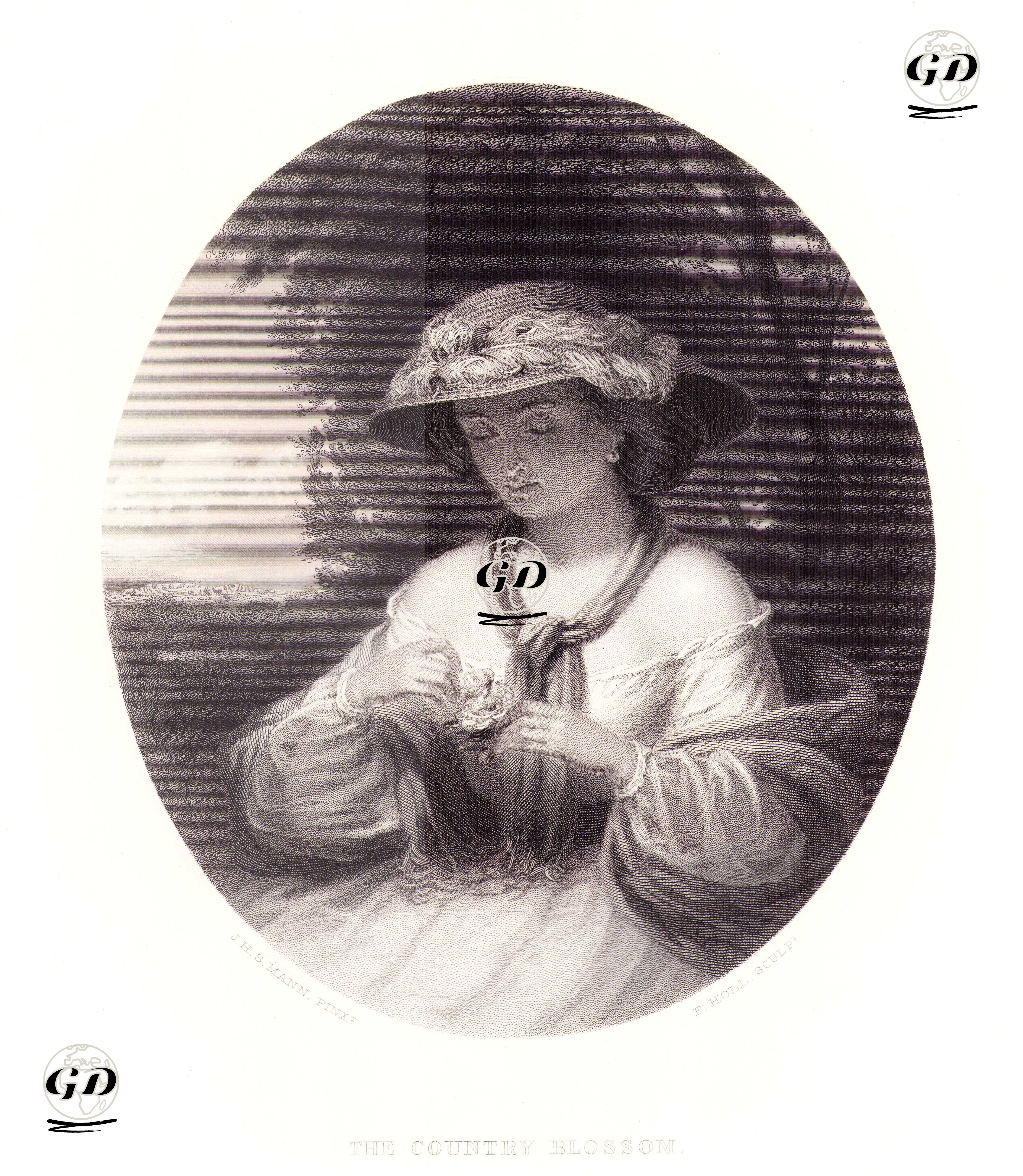 Taşra Çiçeği - Joshua Hargrave Sams Mann (1826-1886) - 1879