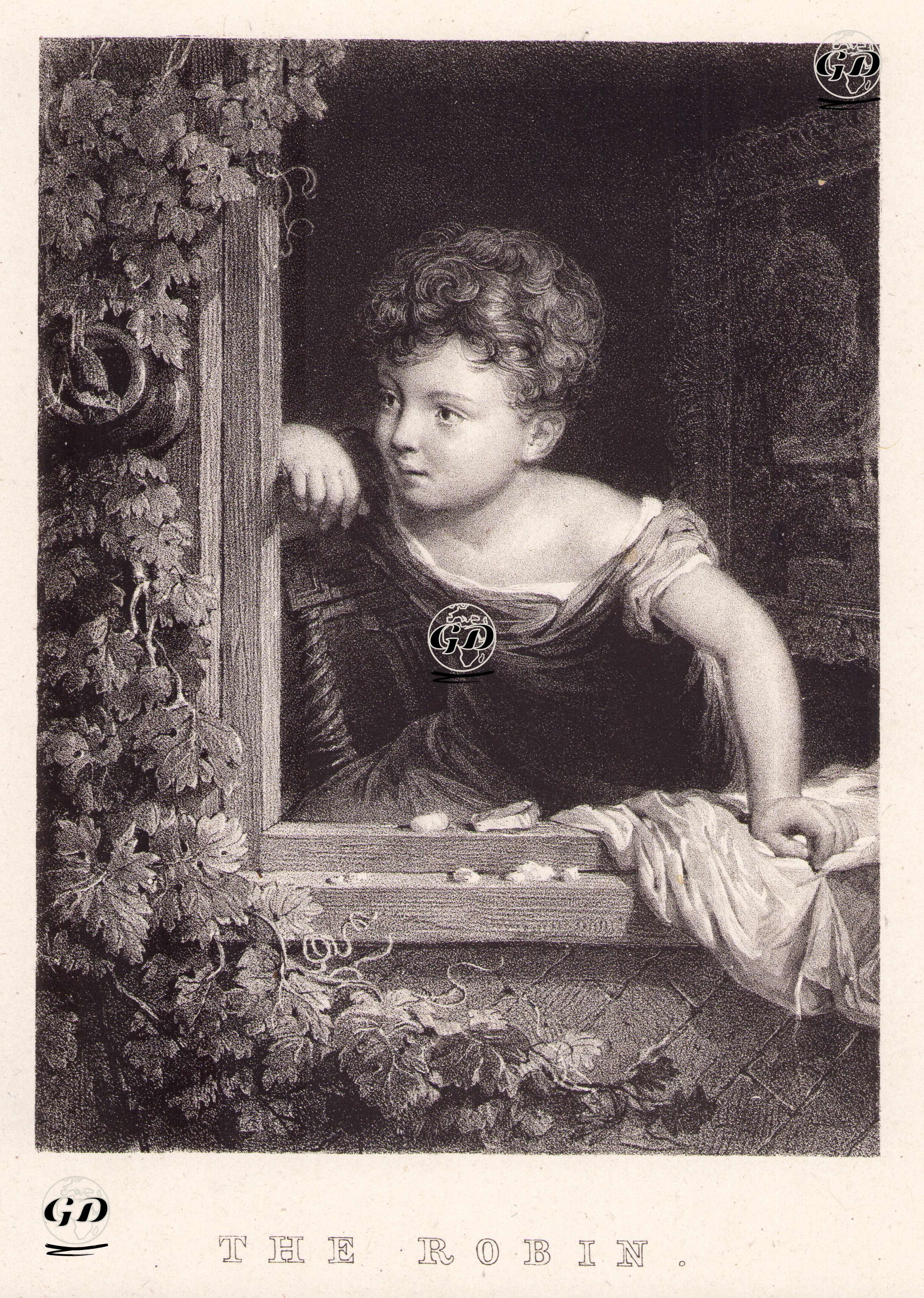 Robin -  - 1860's-1870's