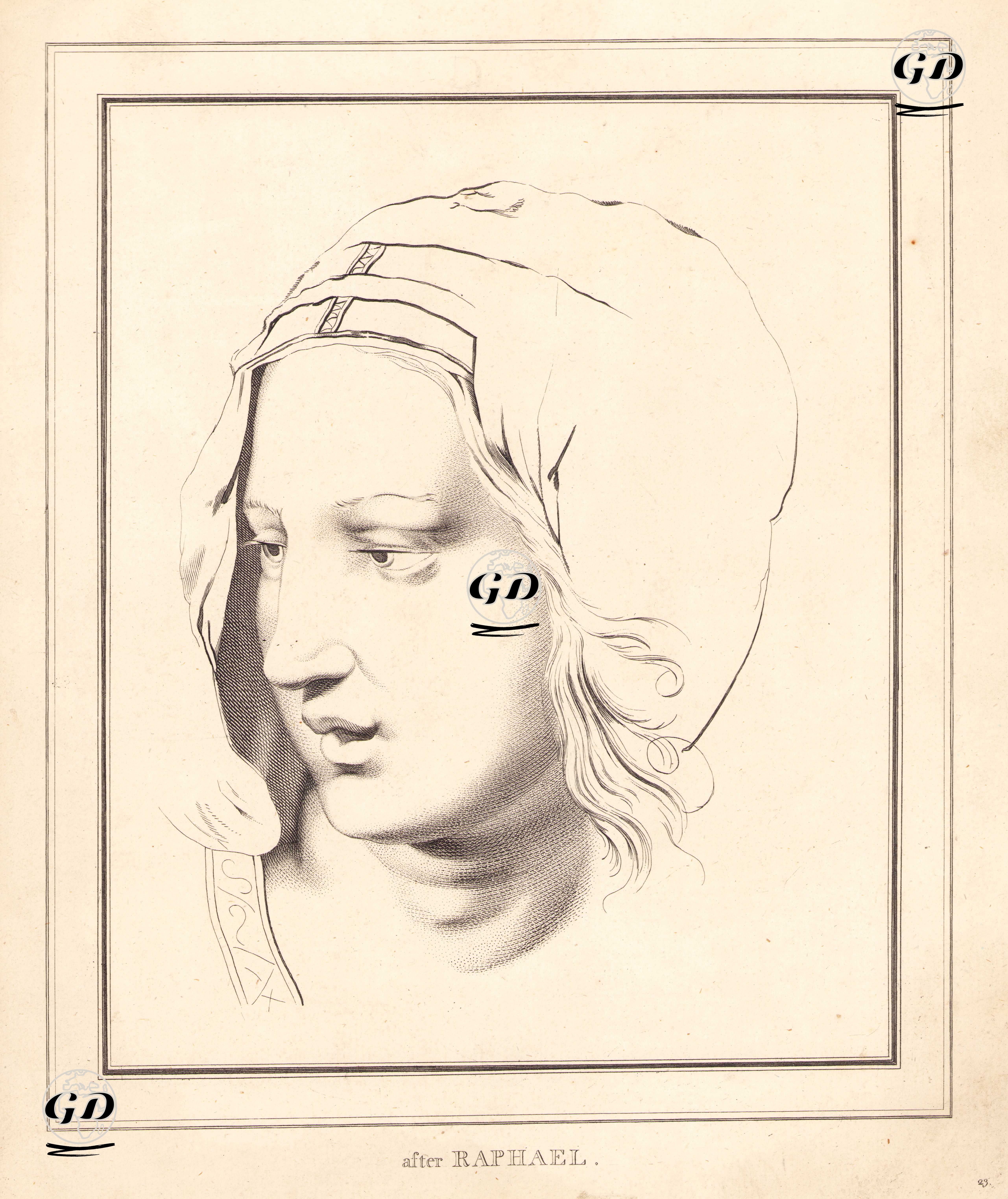 After Raphael-Portrait Of A Woman -  - 1890's