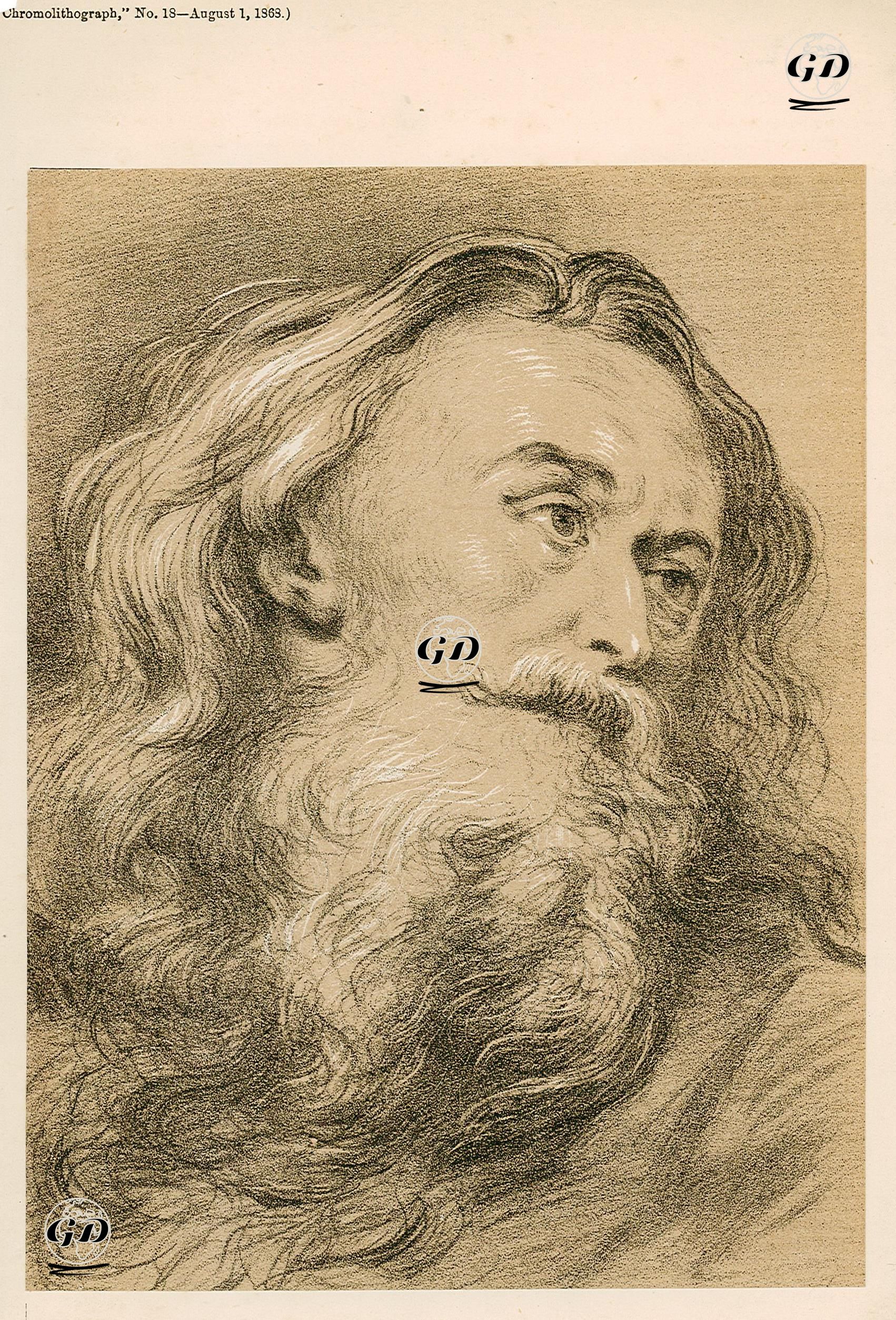 Potrait Of A Man -  - 1868