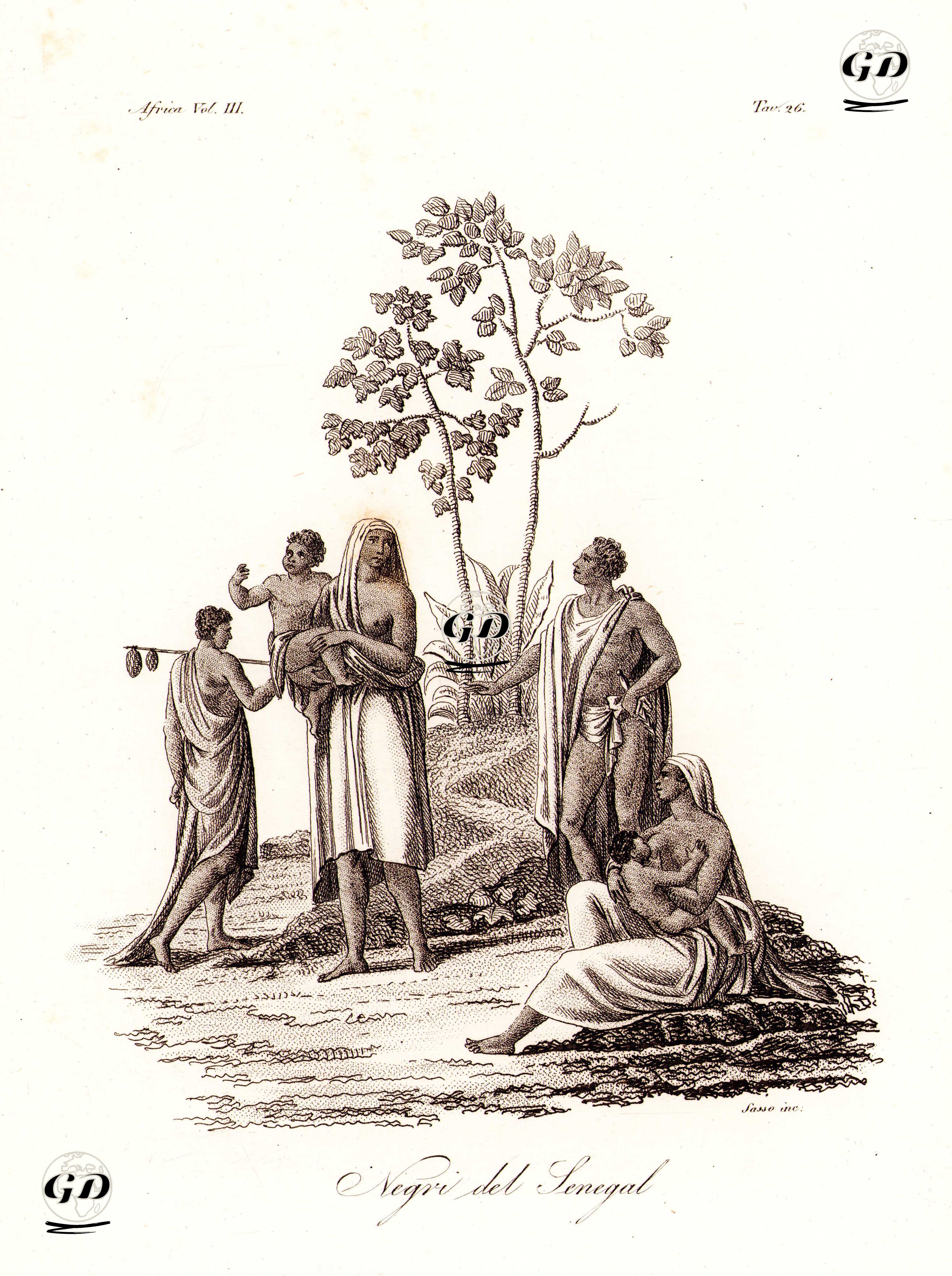 Negri Del Senegal, Africa Vol.III. Tav.26. -  - 1820's-1840's