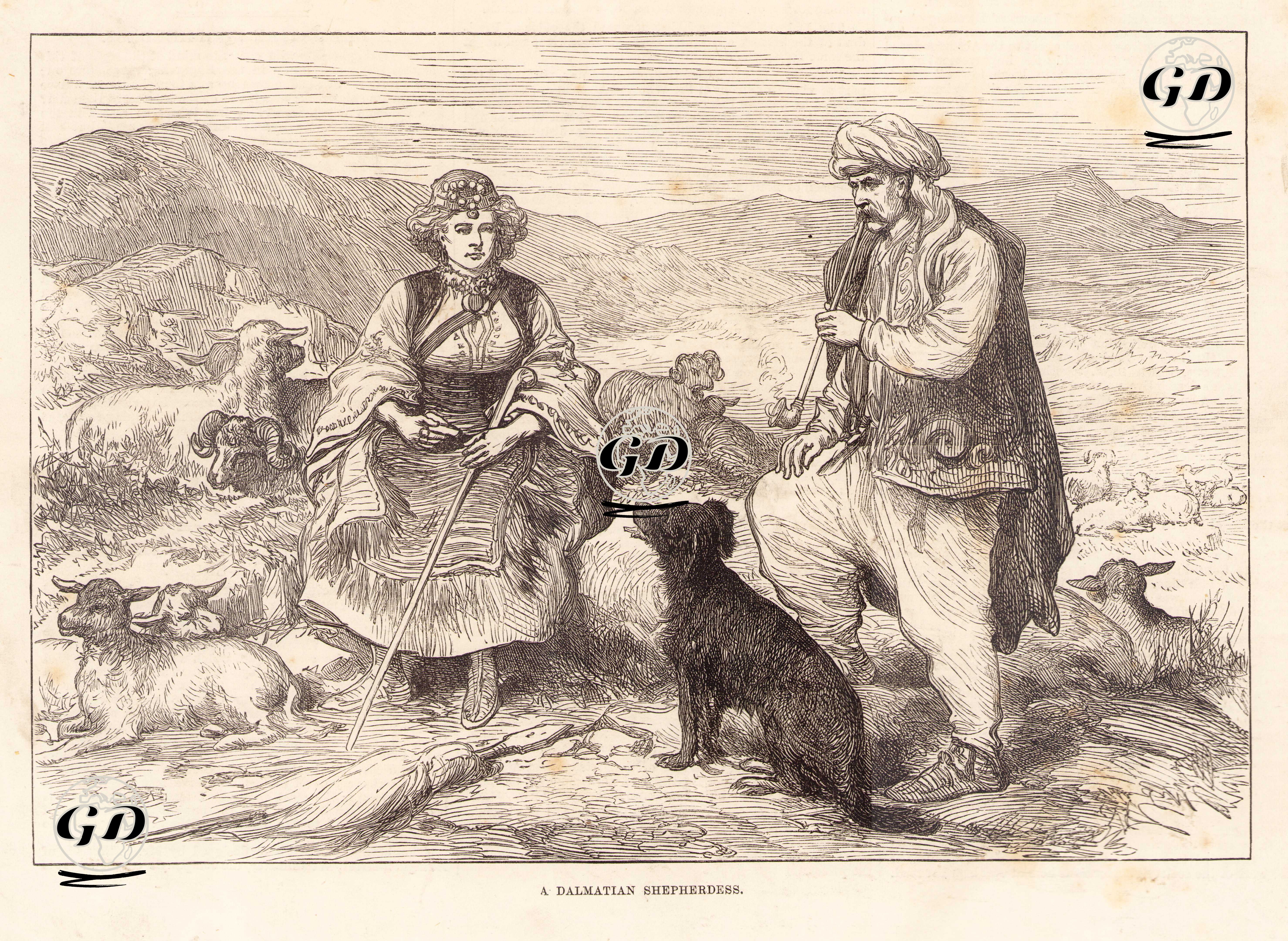 Dalmaçyalı Çobanlar -  - 1875