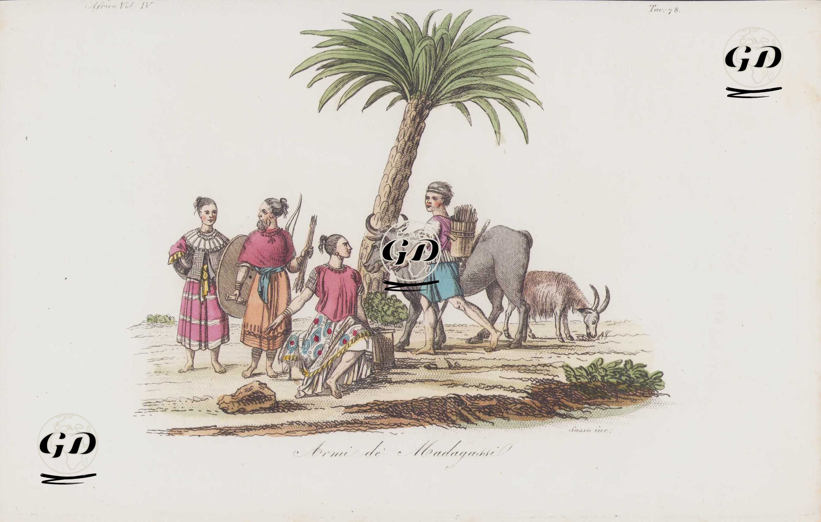 Armi De Madagassi, Africa Vol.IV. Tav.78. (Weapons Of The Malagasy People Of Madagascar) -  - 1820's-1840's