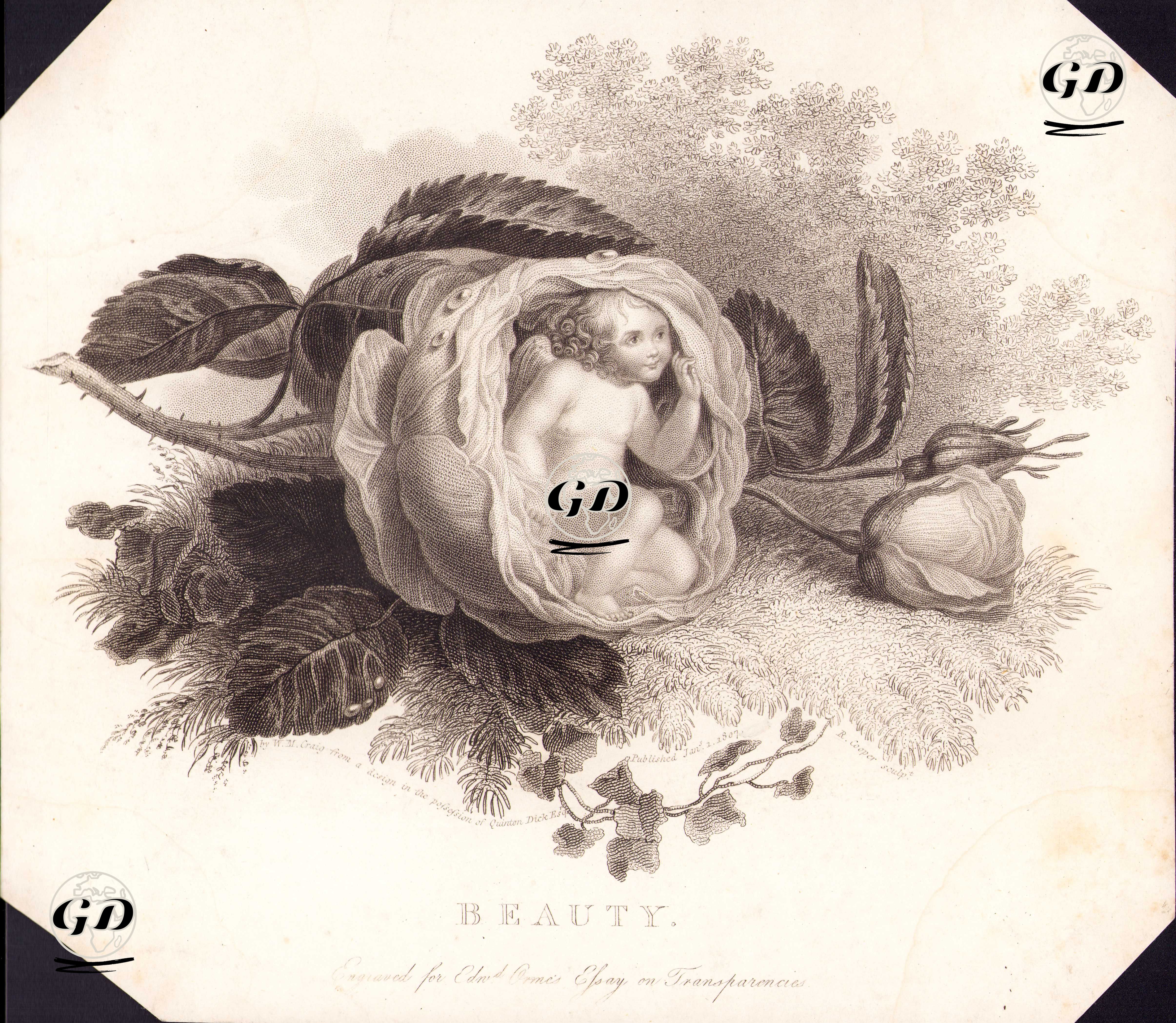 Güzellik - William Marshall Craig (1765-1834) - 1807