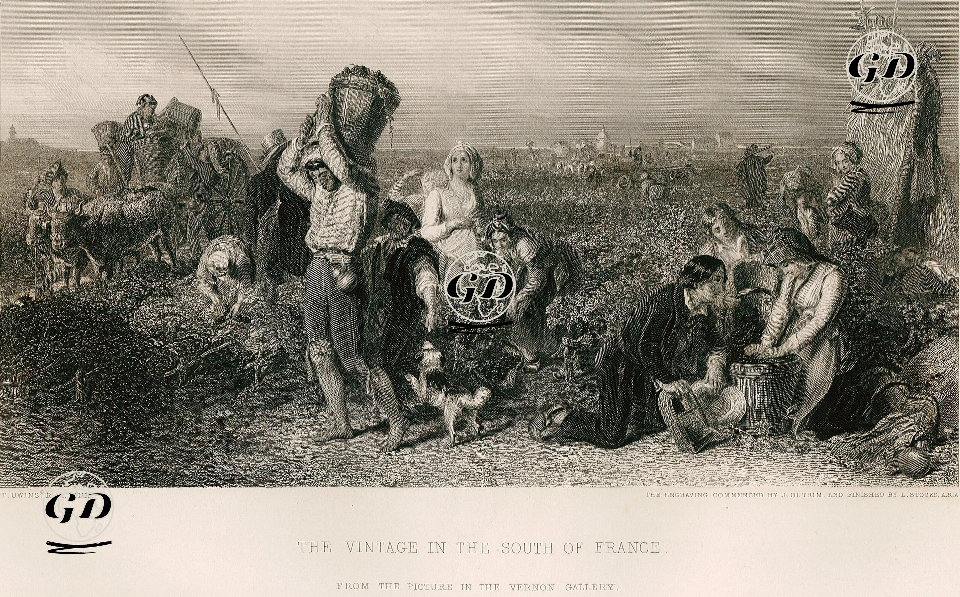 Güney Fransa'da Bağbozumu - Thomas Uwins (1782-1857) - 1855