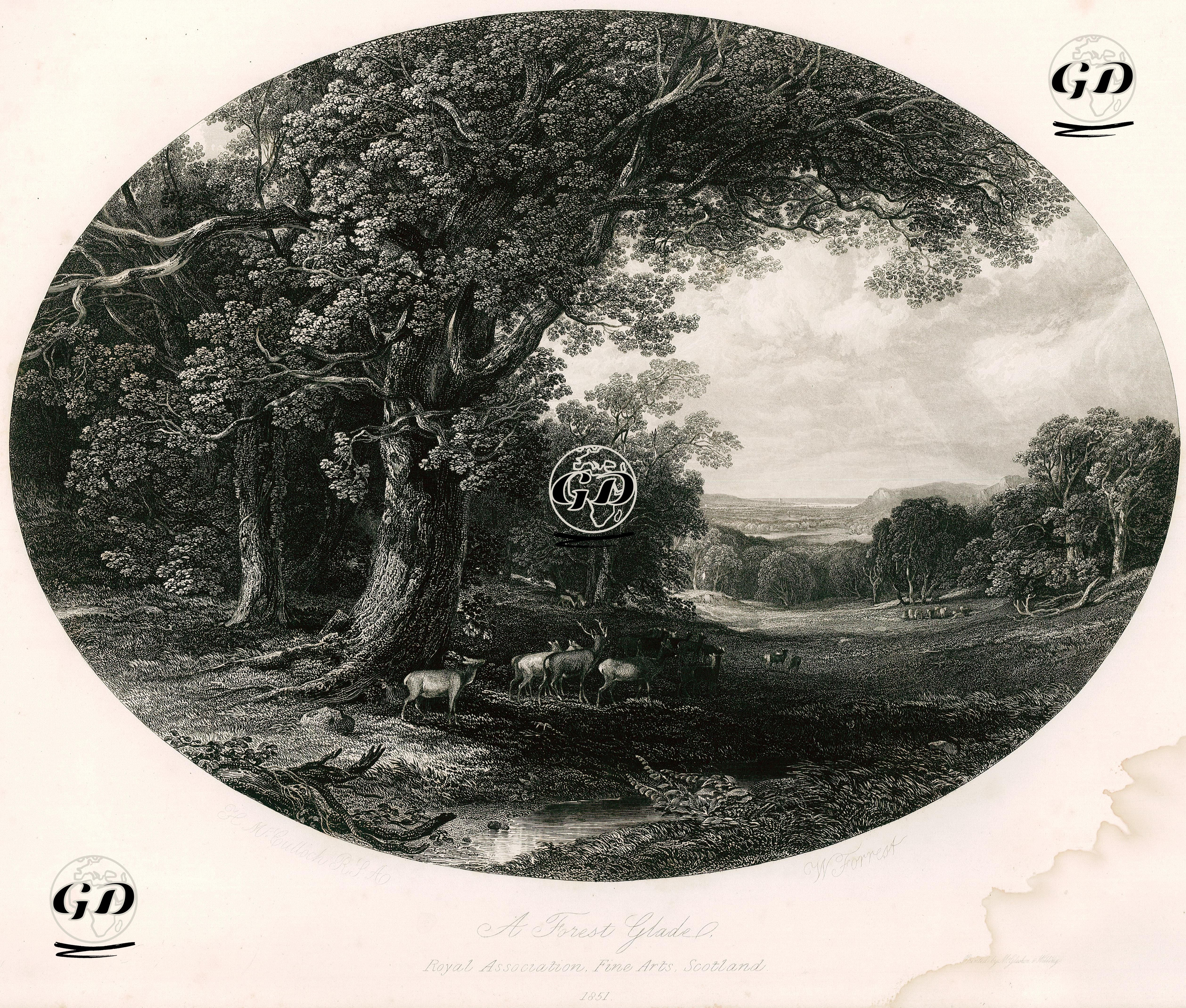 Bir Orman Alanı - H.M.Bullock - 1851
