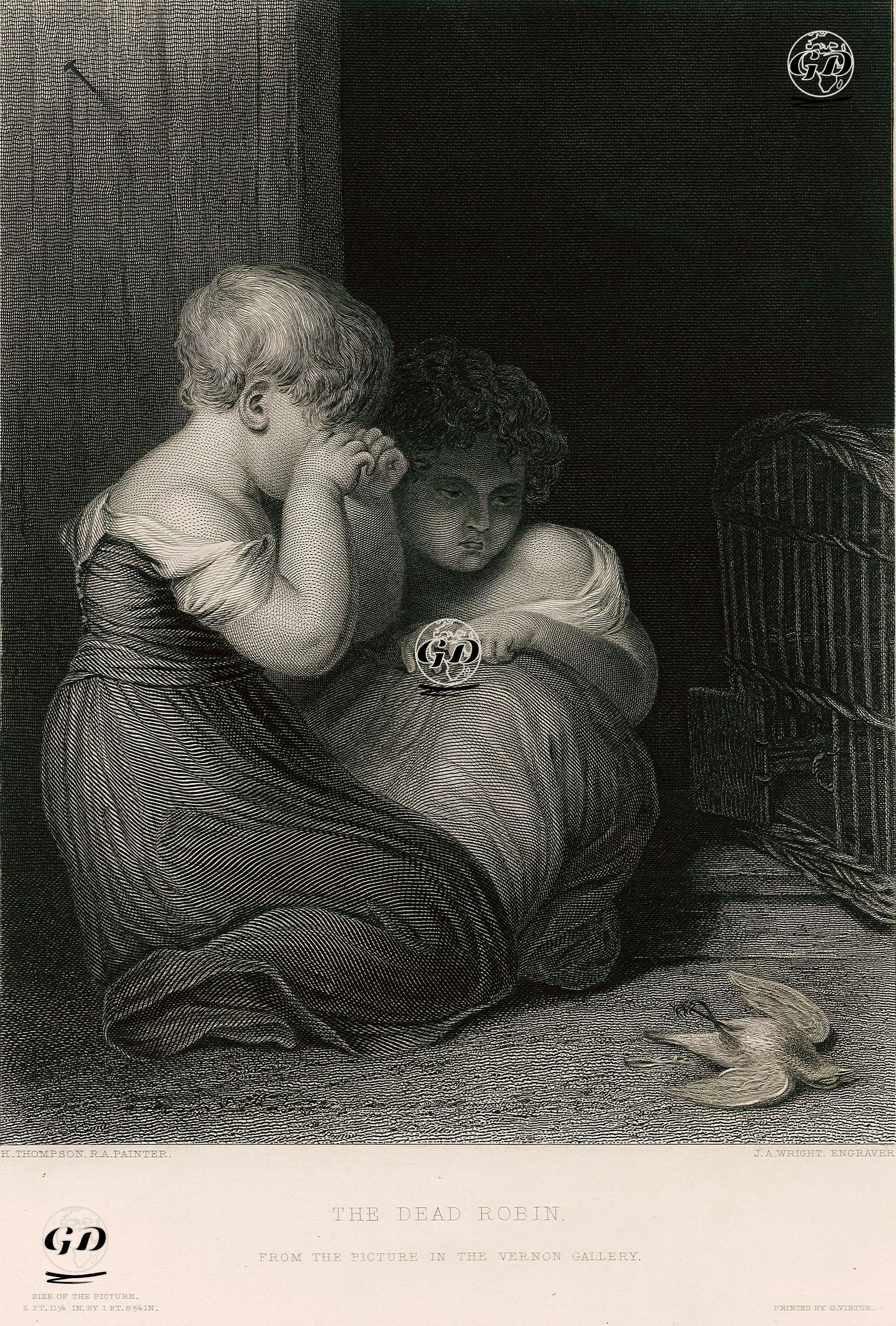 The Dead Robin  - H.Thompson - 1853
