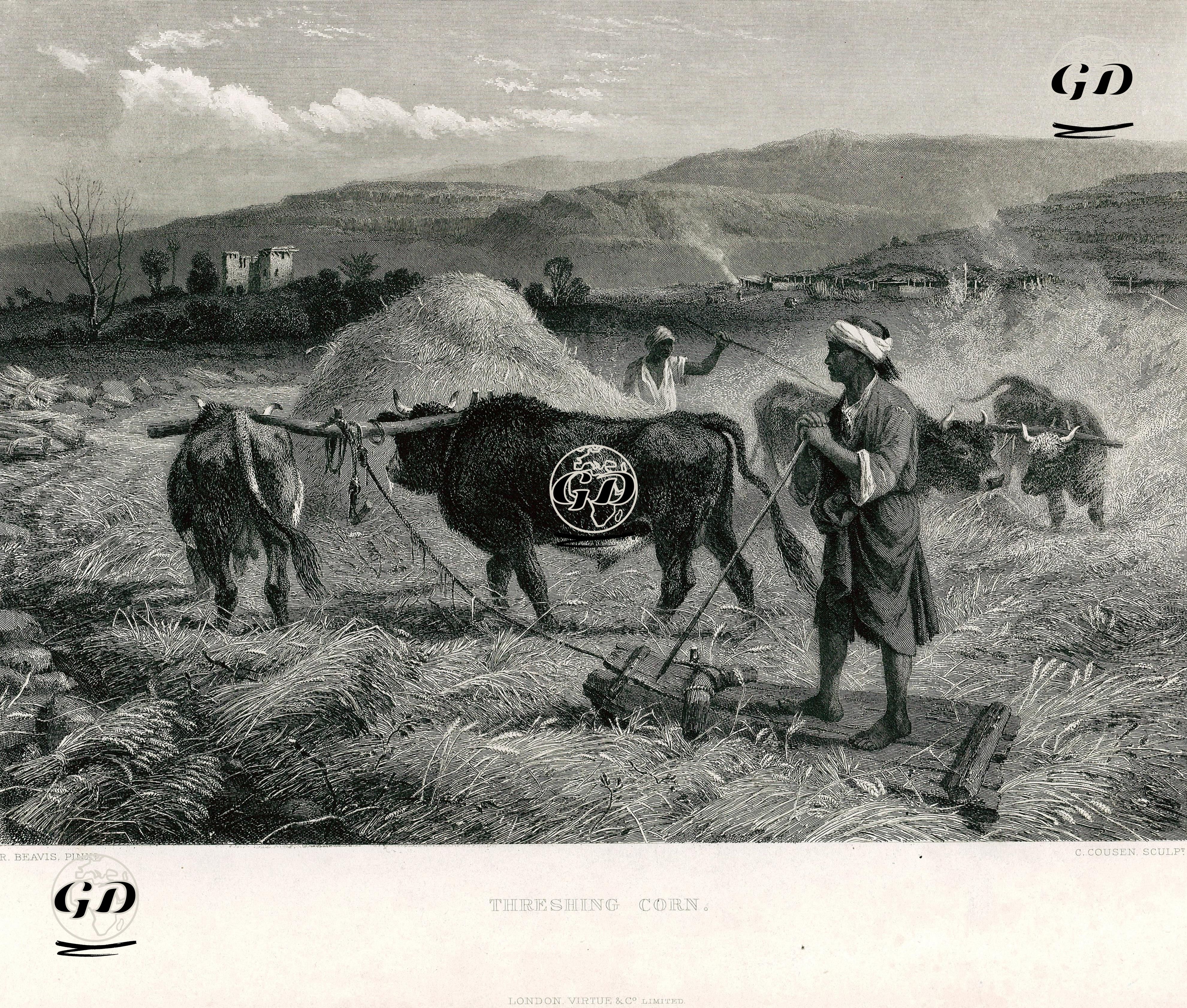 Mısır Harmanı - Richard Beavis (1824-1896) - 1875