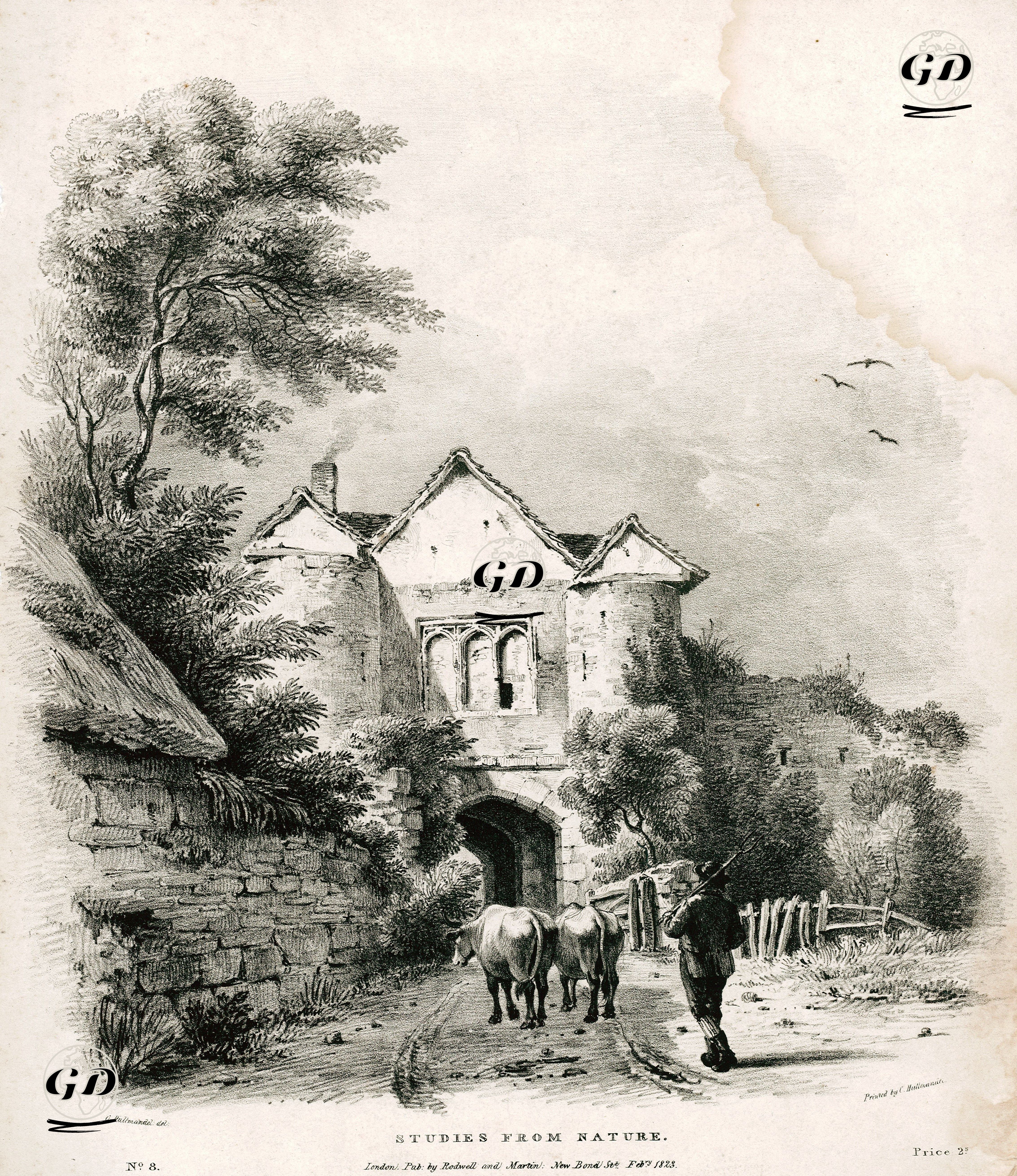Doğadan Çizimler, No:8 - Charles Joseph Hullmandel (1789-1850) - 1823