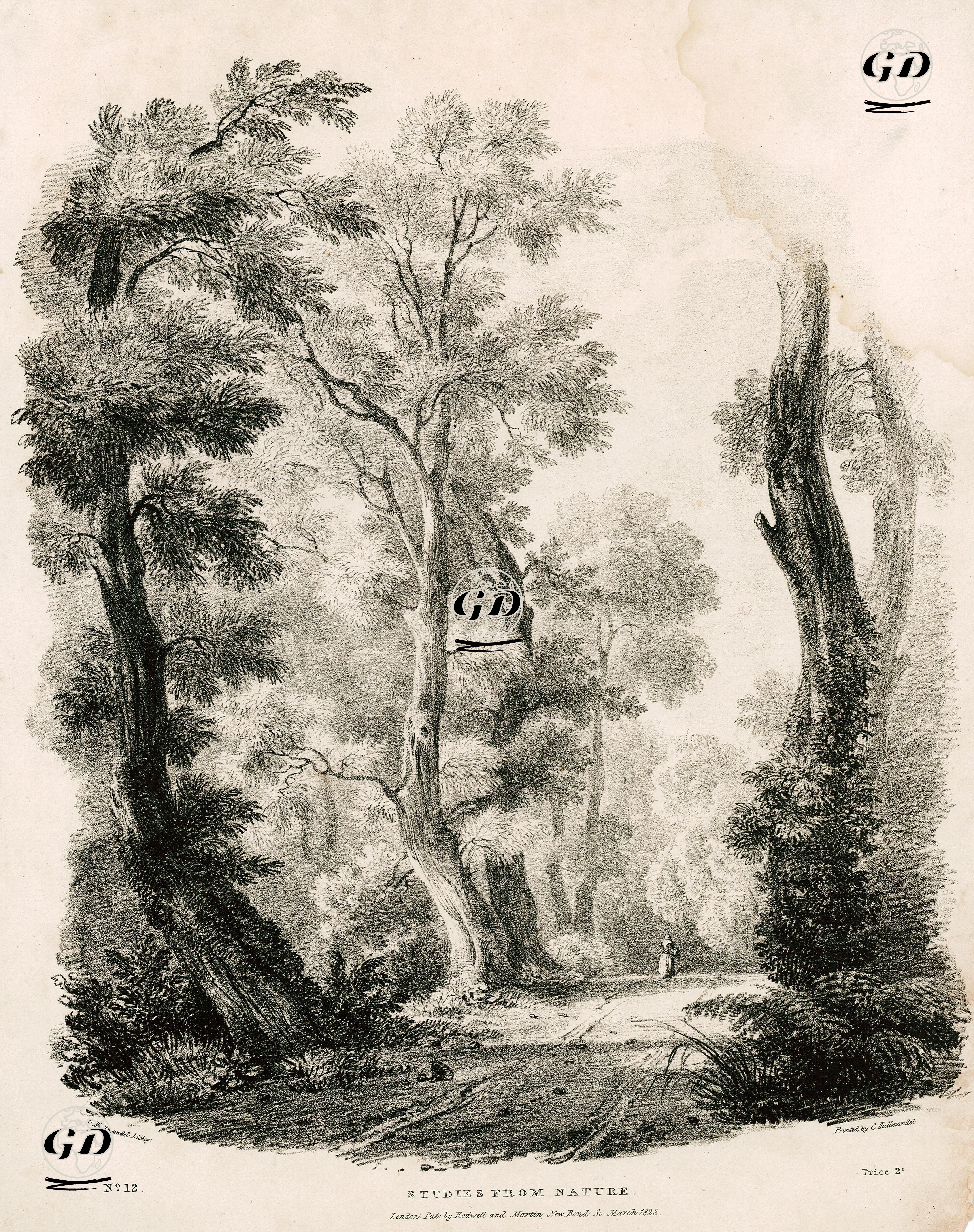 Doğadan Çizimler, No:12  - Charles Joseph Hullmandel (1789-1850) - 1823