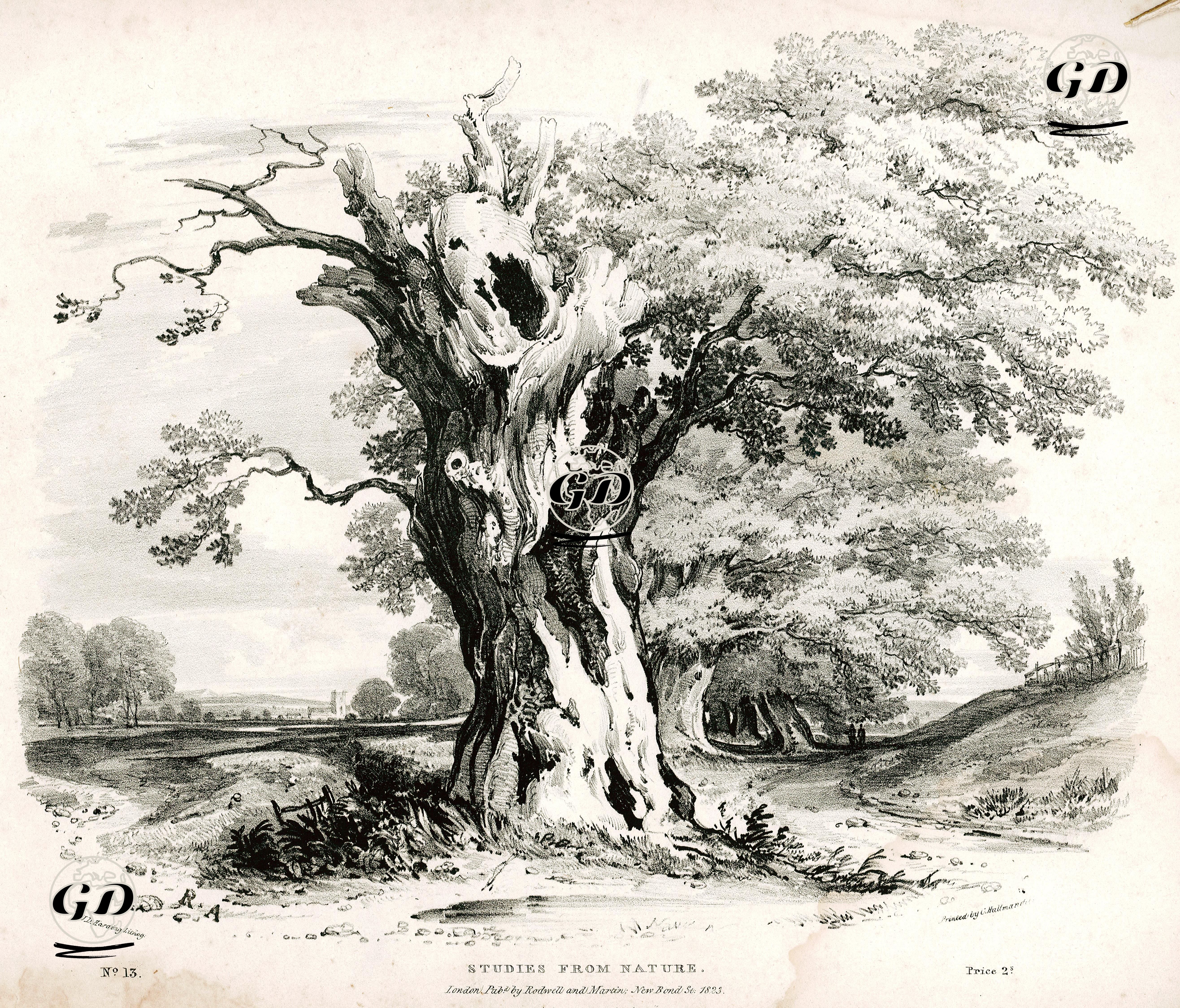 Doğadan Çizimler, No:13 - James Duffield Harding (1798-1863) - 1823