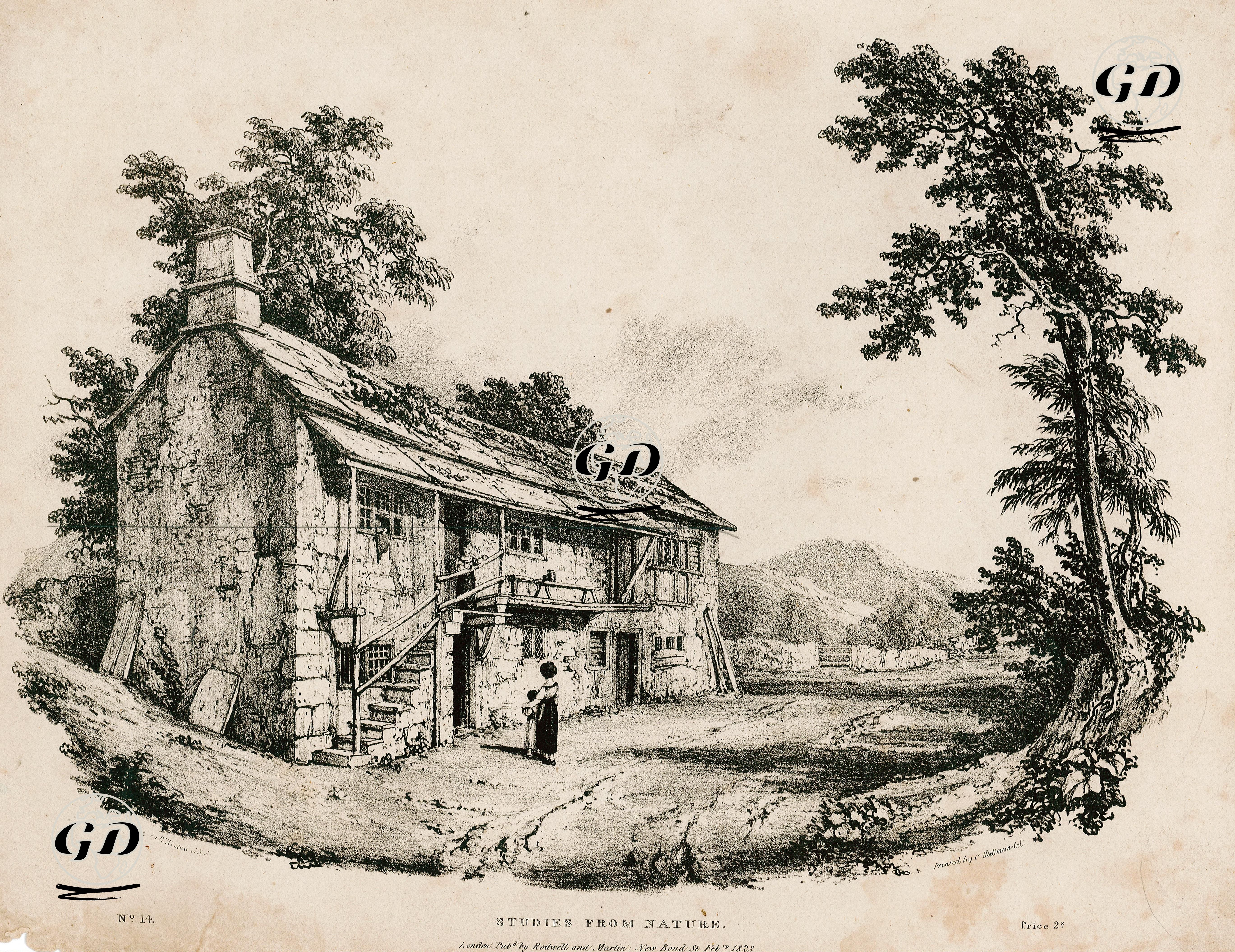 Doğadan Çizimler, No:14 - William Westall (1781-1850) - 1823