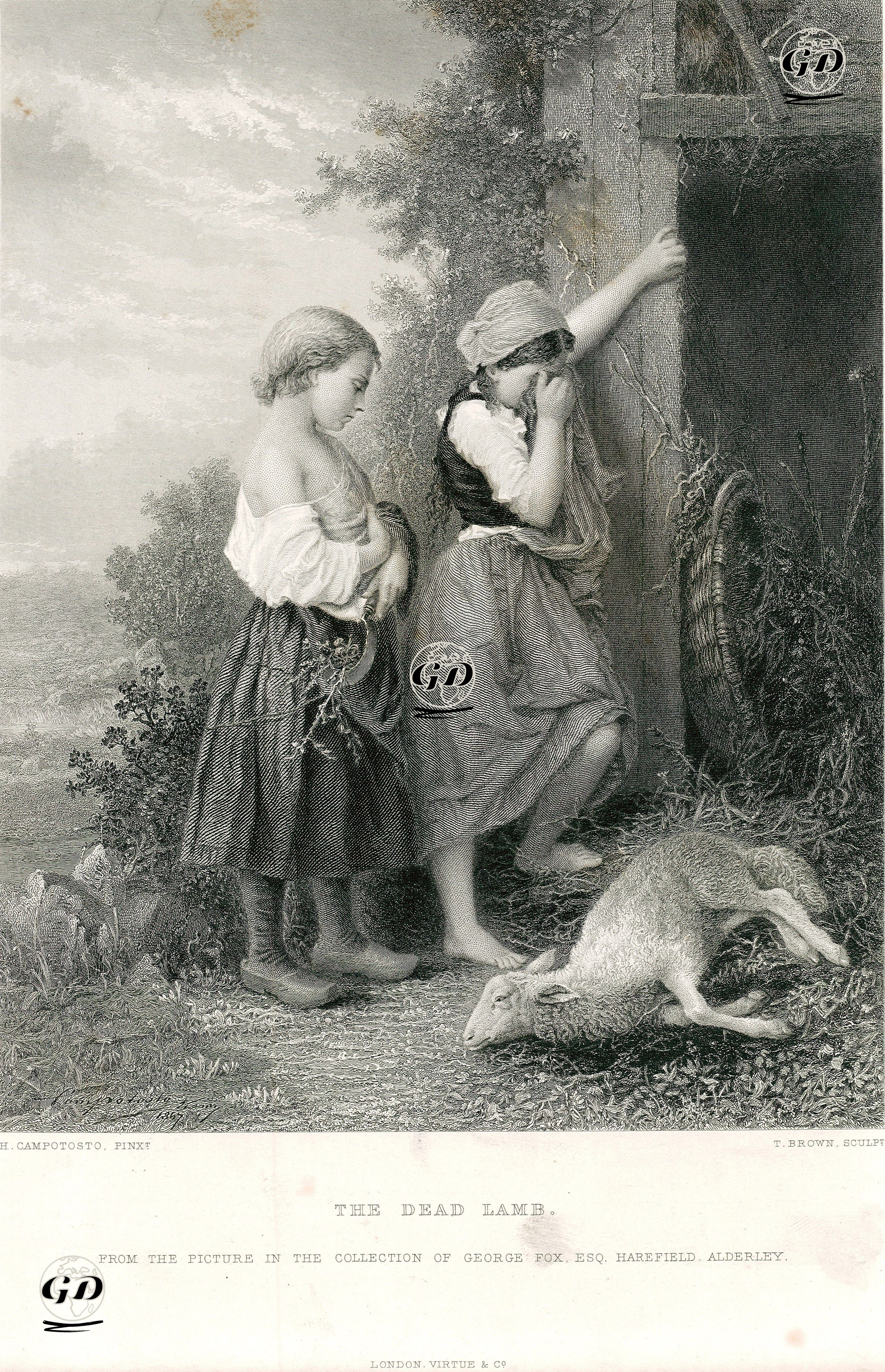 Ölü Kuzu - Henry Campotosto (1833-1910) - 1874
