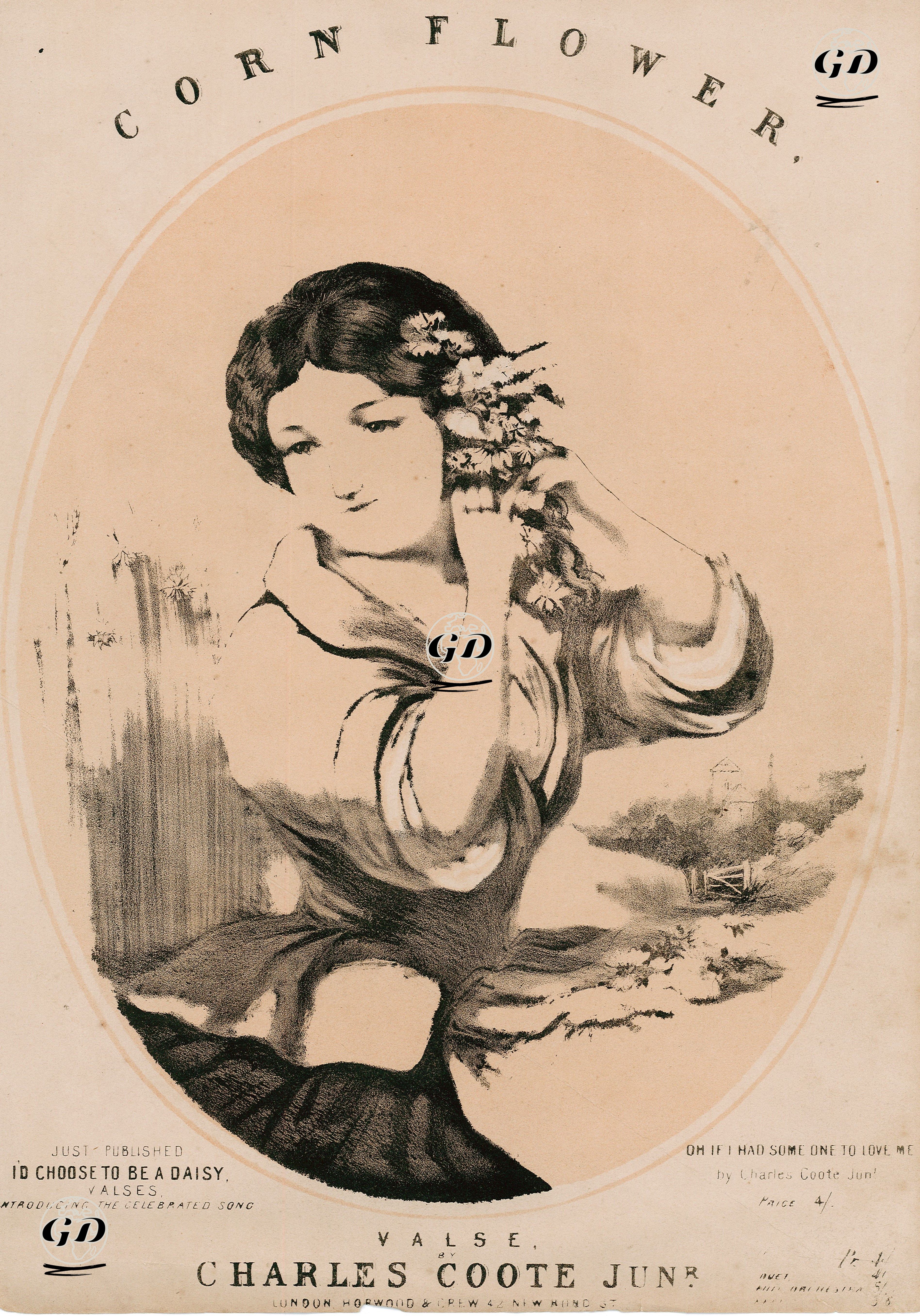 Mavi Kantaron(Peygamber Çiçeği), Charles Coote Tarafından Bestelenen Vals-Oh! Bir Sevenim Olsaydı. -  - 1860's