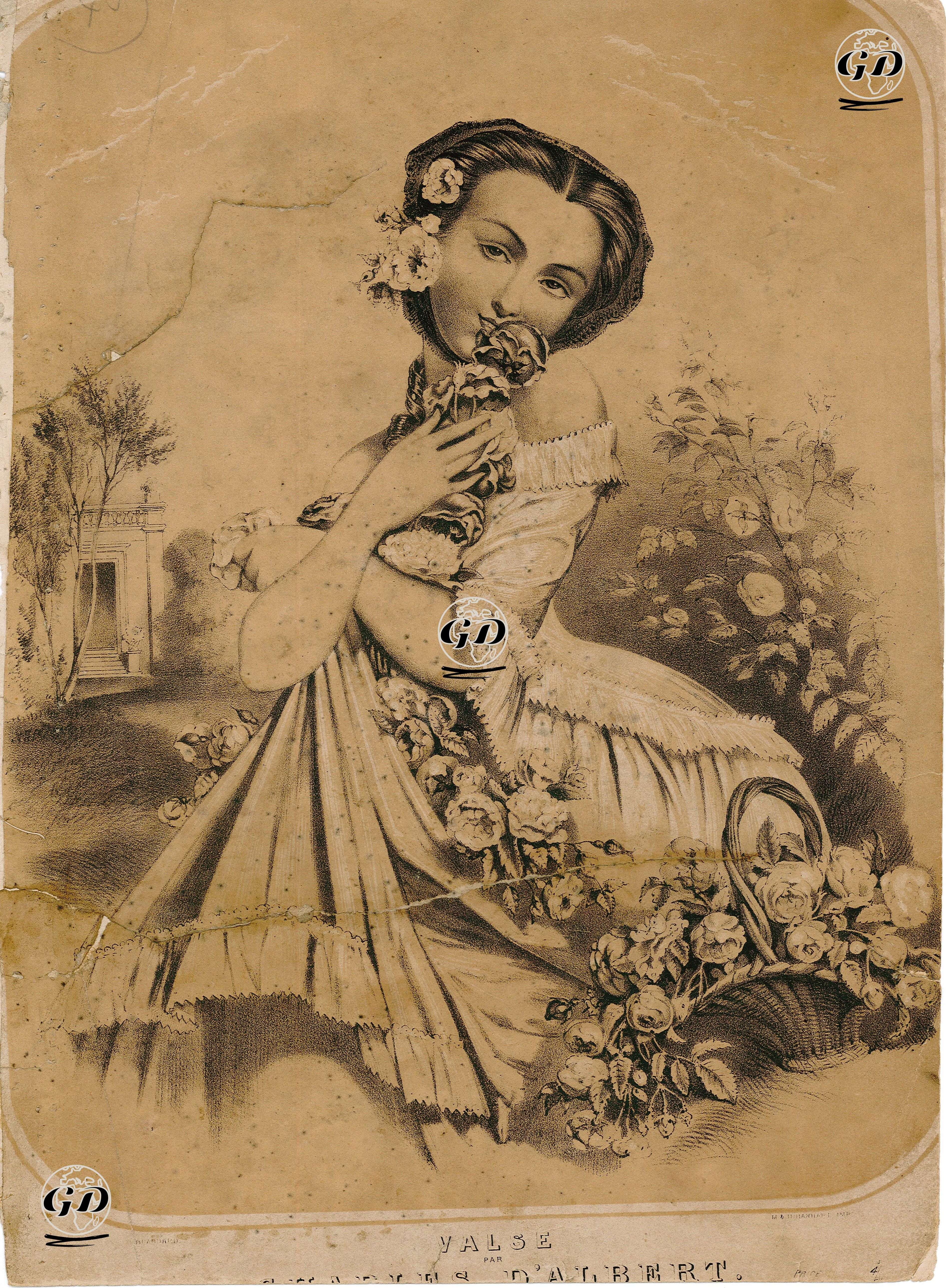 Güllerin Kraliçesi, Charles D'Albert'in Bestelediği Vals -  - 1860's