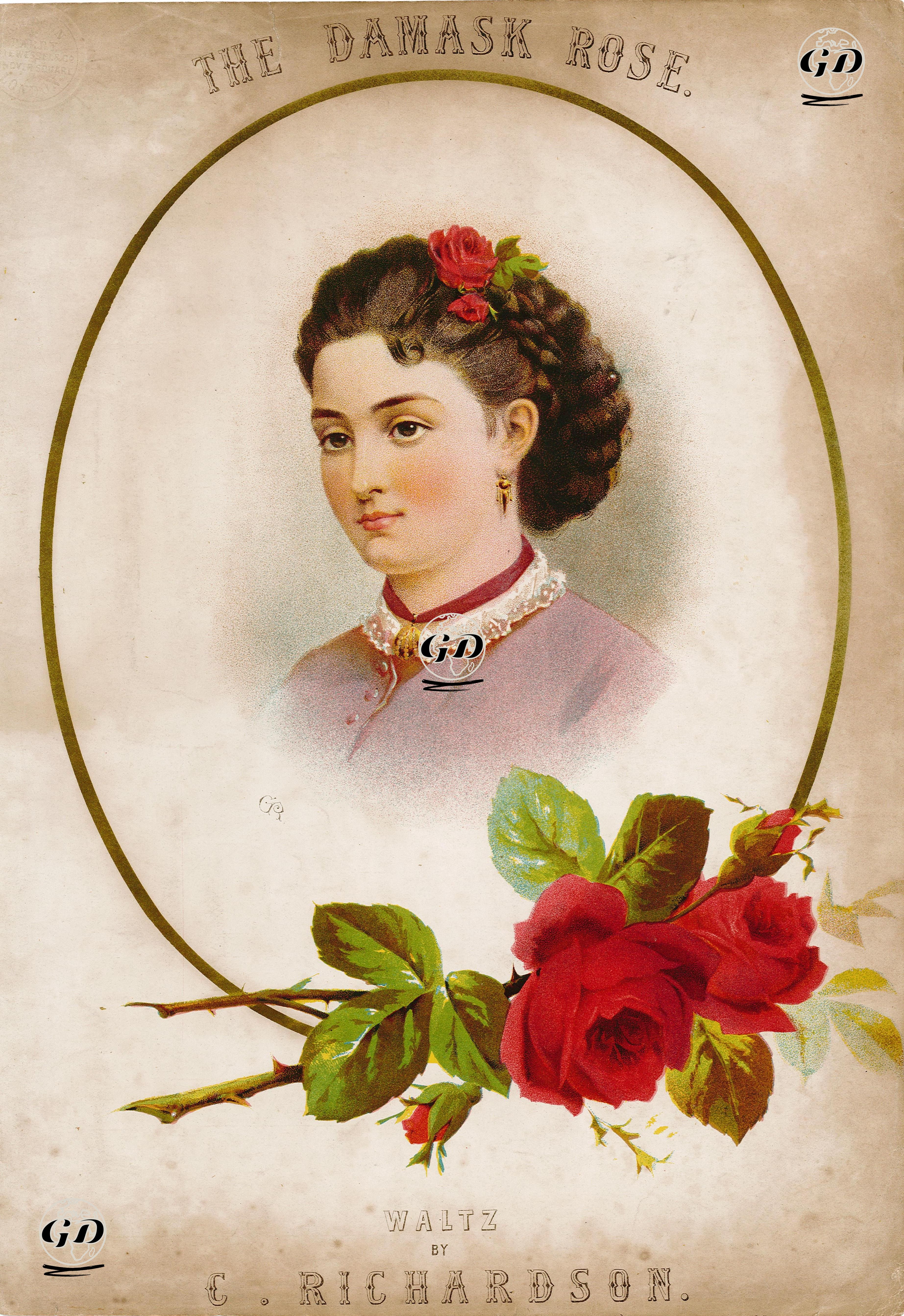 Damask Gülü, C.Richardson'un Bestelediği Vals -  - 1890's