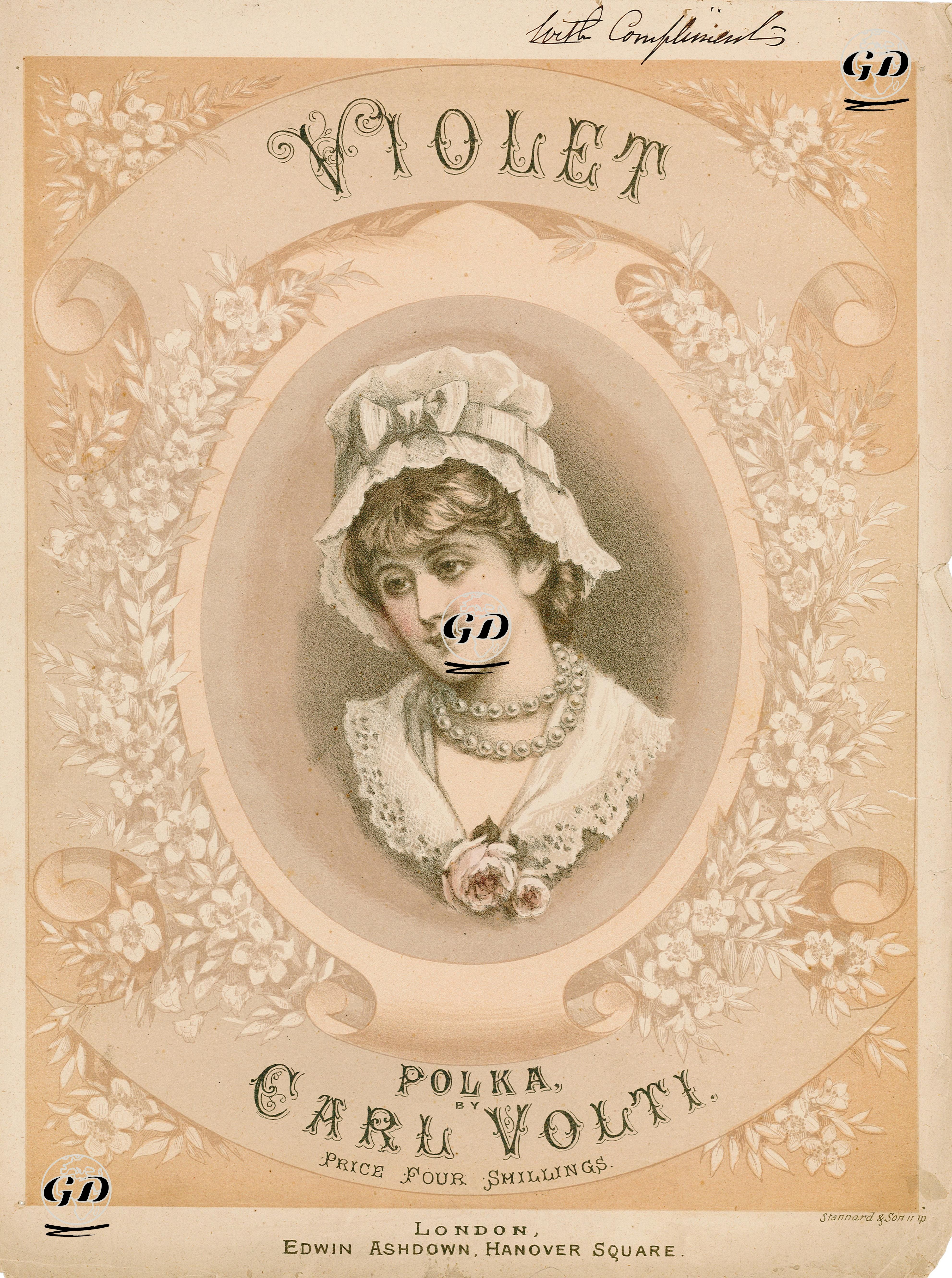 Violet, Polka By Carl Volti -  - 1890's