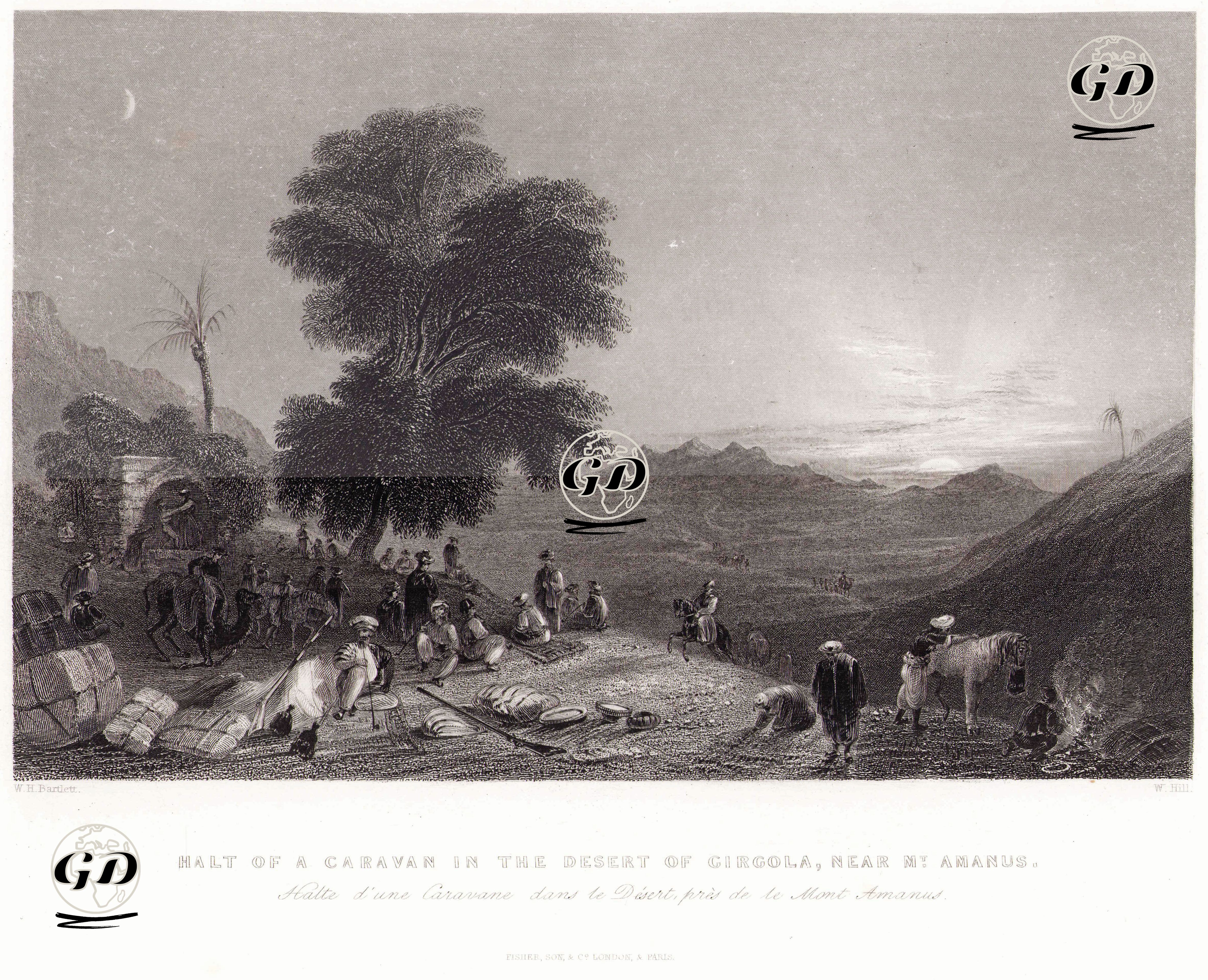 Halt Of A Caravan İn The Desert Of Girgola Near Mt. Amanus-Halte D'Une Caravane Dans Le Desert Pres De Le Mont Amanus  - William Henry Bartlett (1809-1854) - 1838-1839