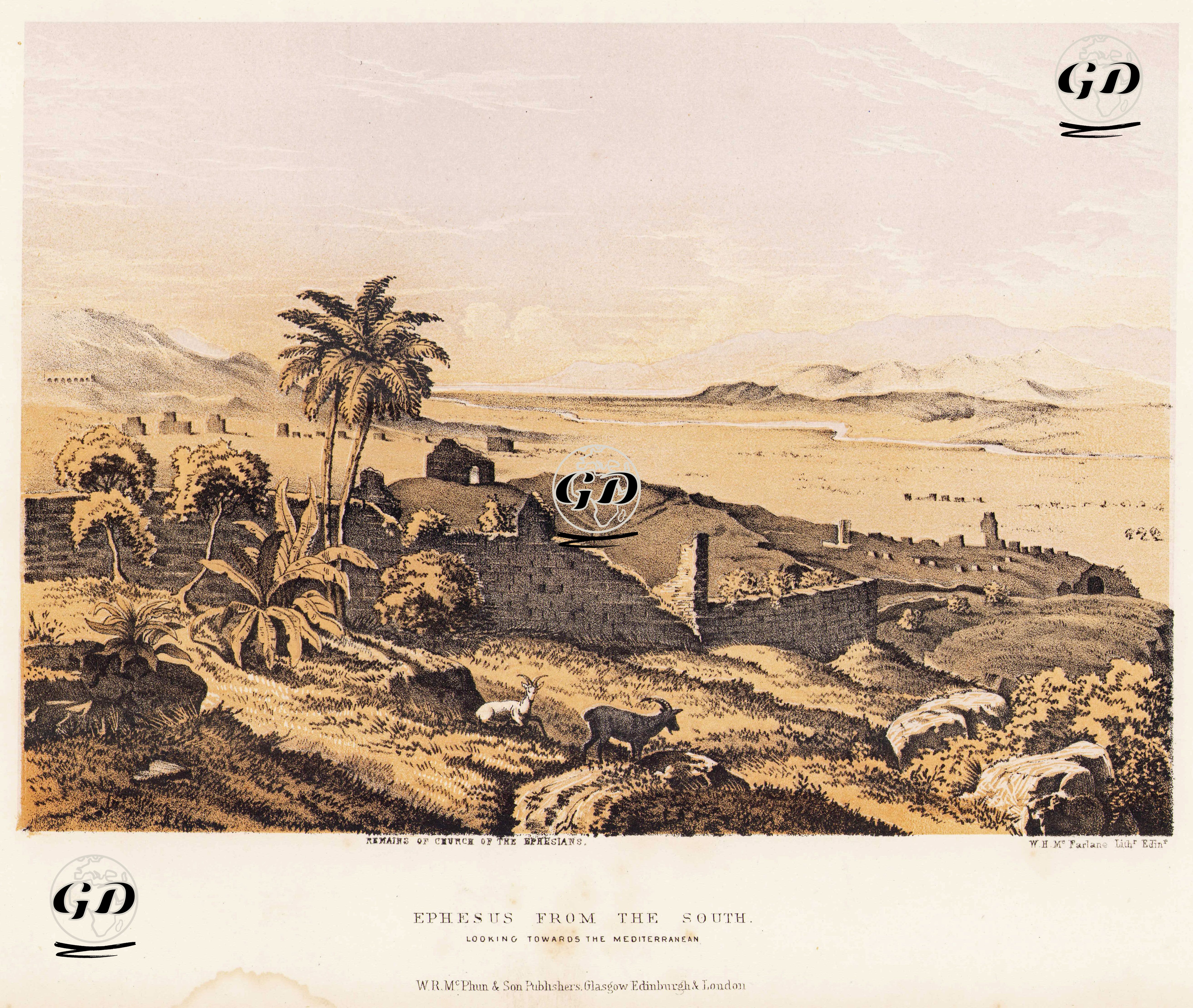 Efes Antik Şehrinin Güneyden Görünümü ve Efes Kilisesinin Kalıntıları -  - 1860