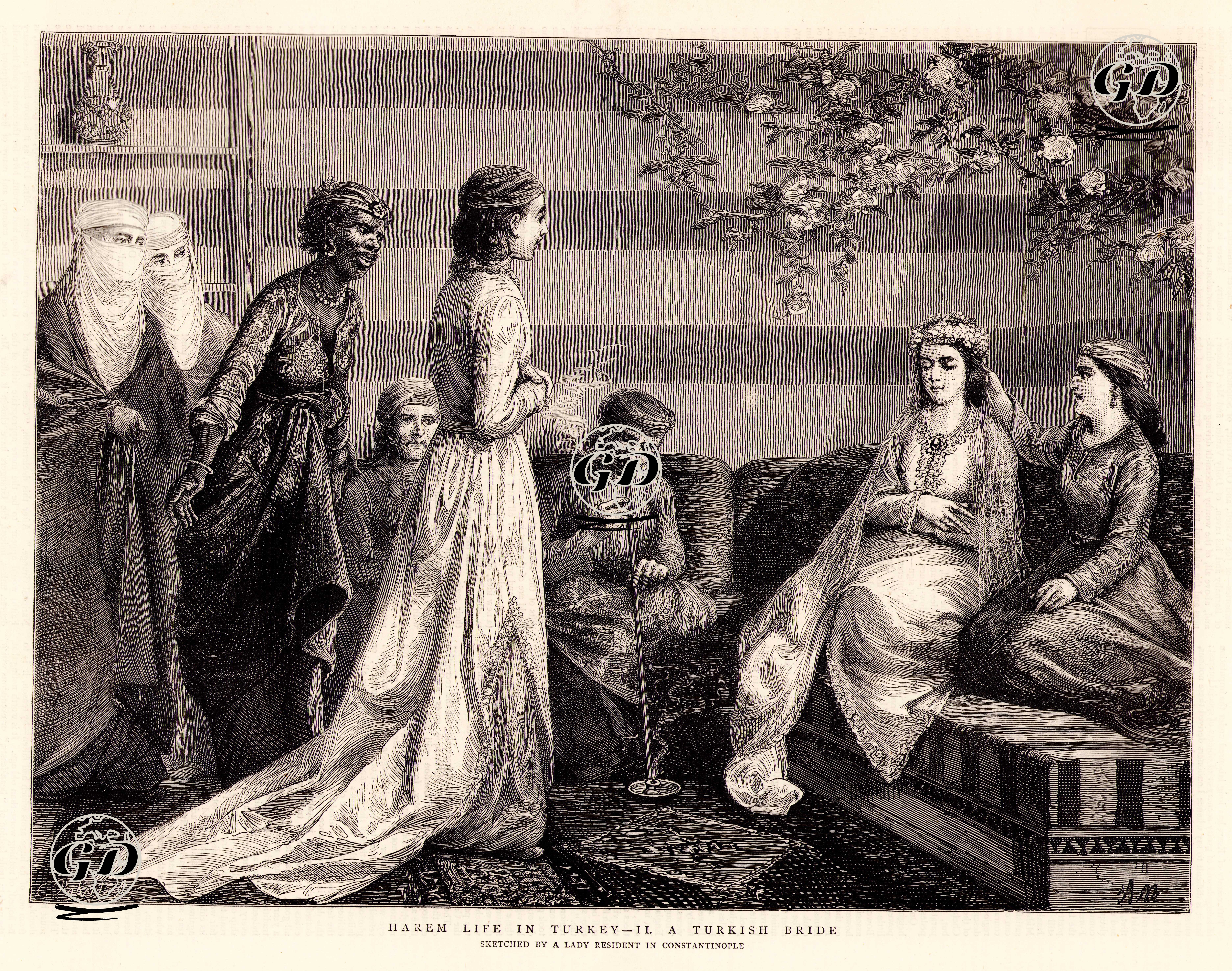 Türkiye'da Harem Yaşantısı, Bir Türk Gelin -  - 1876