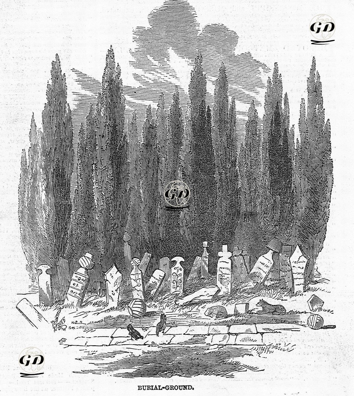 Burial Ground İn Constantinople -  - 1849
