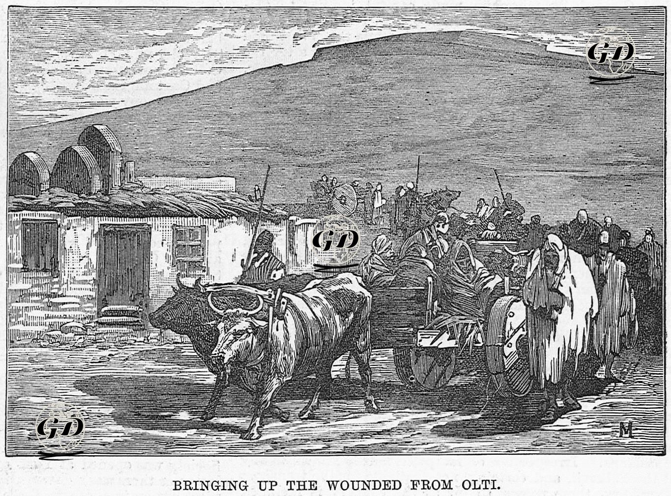 1877-1878 Osmanlı-Rus Savaşı (93 Harbi) Sırasında Oltu'dan Getirilen Yaralilar -  - 1877