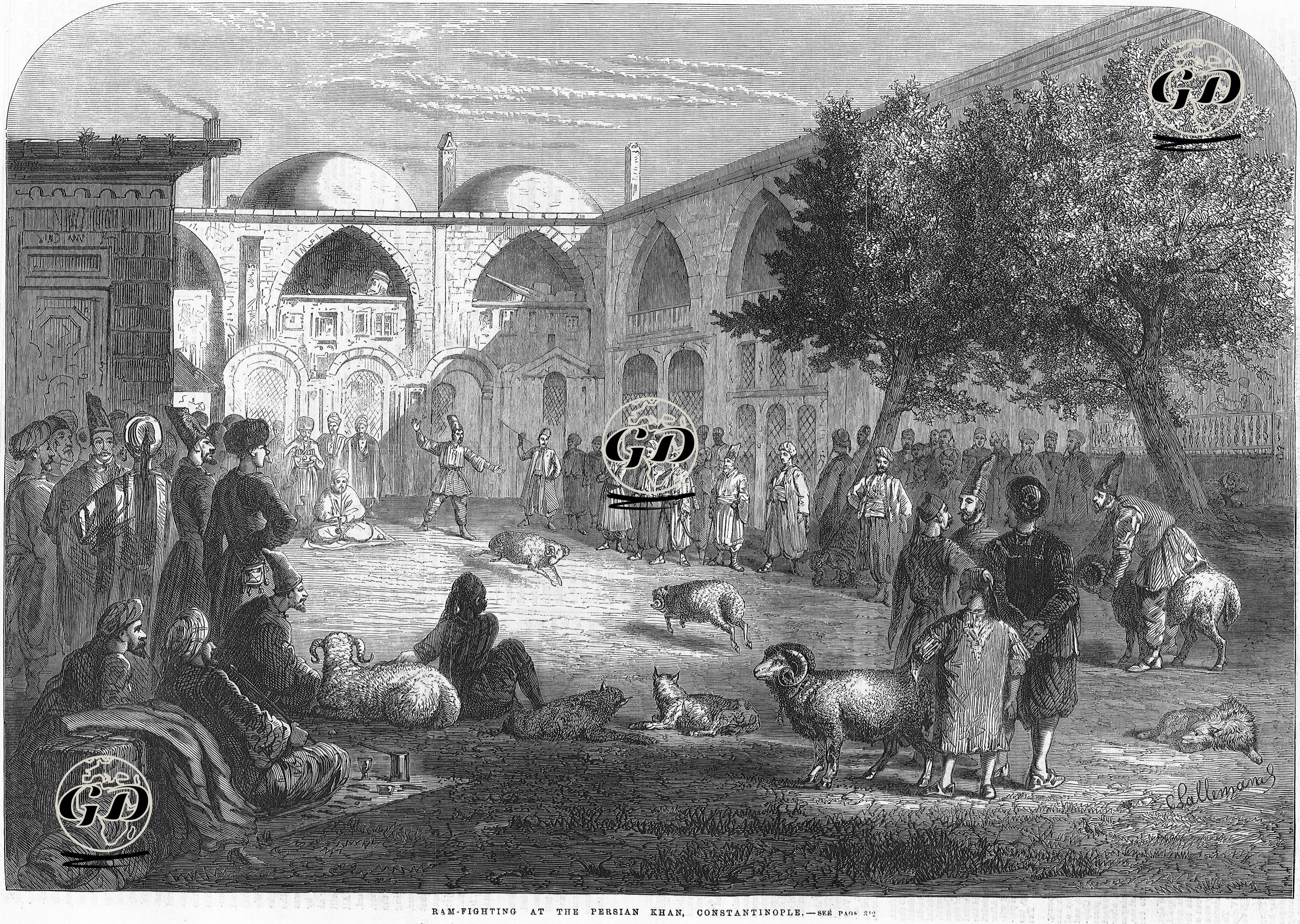 İstanbul'da İran Hanında Yapılan Koç Döğüşü -  - 1866