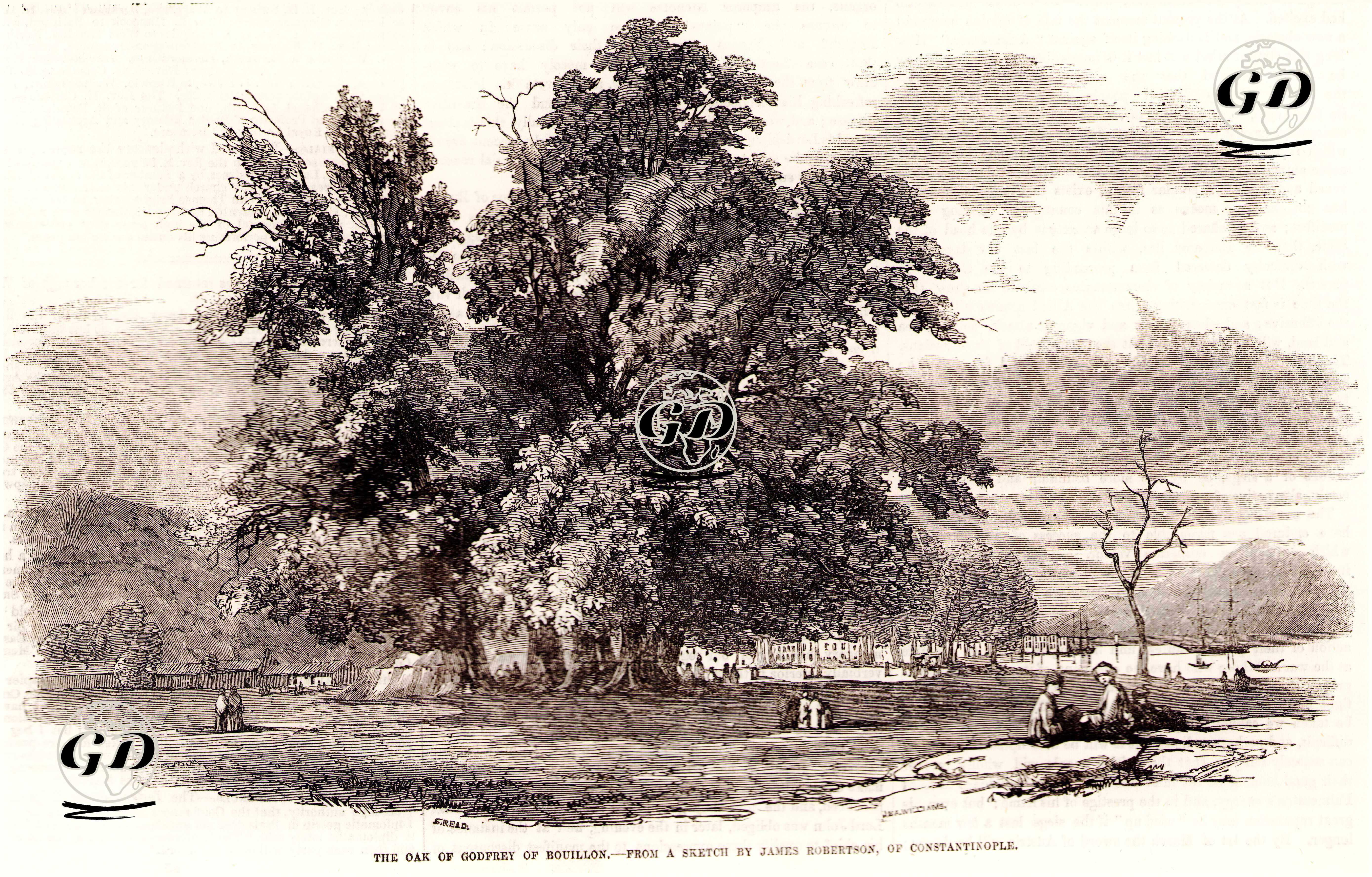 Büyükdere Çınarı-Godefroy De Bouvillon Çınarı  - Samuel Read (1816-1883) - 1855
