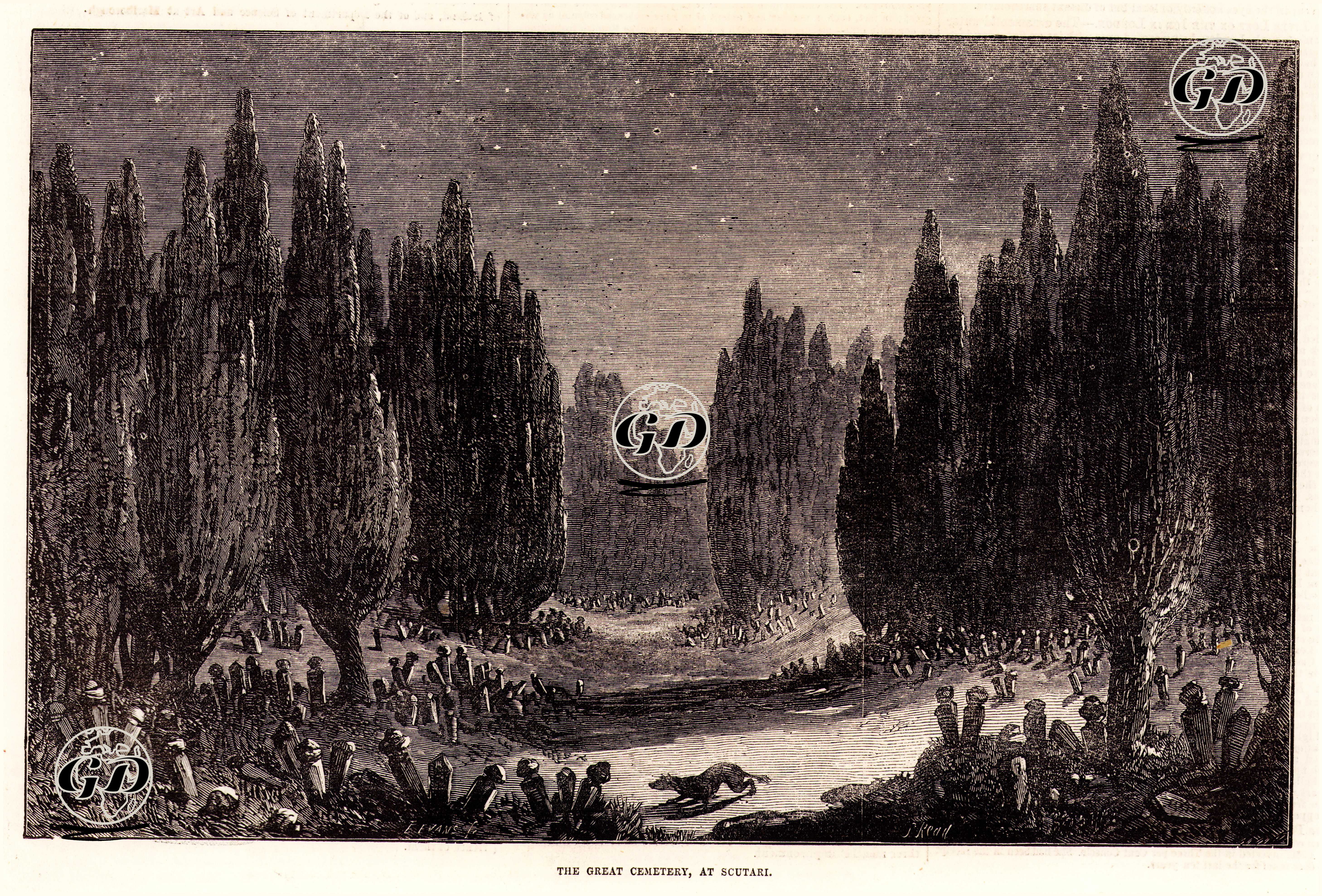 The Great Cemetery At Scutari -  - 1855