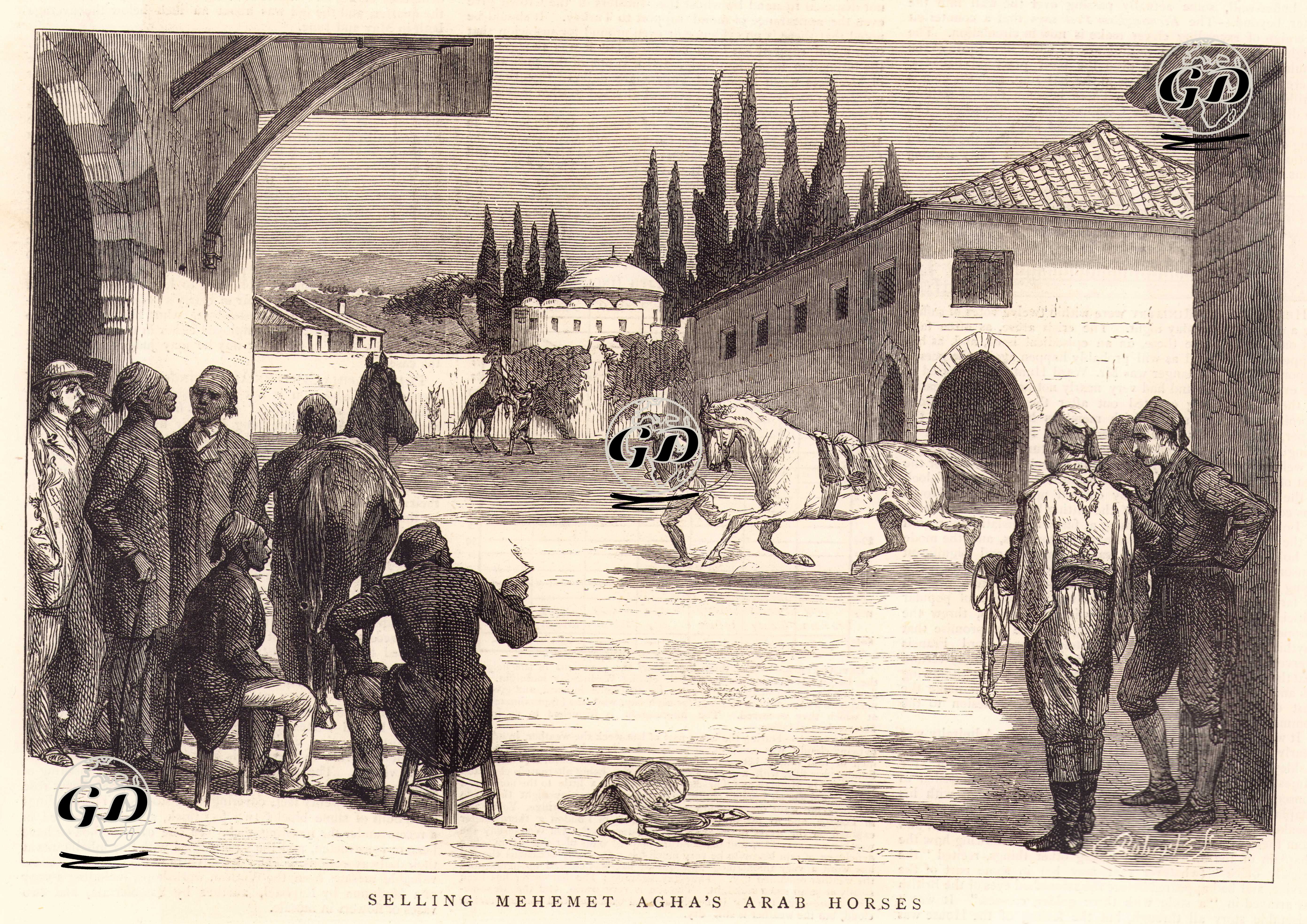 Mehmet Ağanın Arap Atlarının Satışı -  - 1876