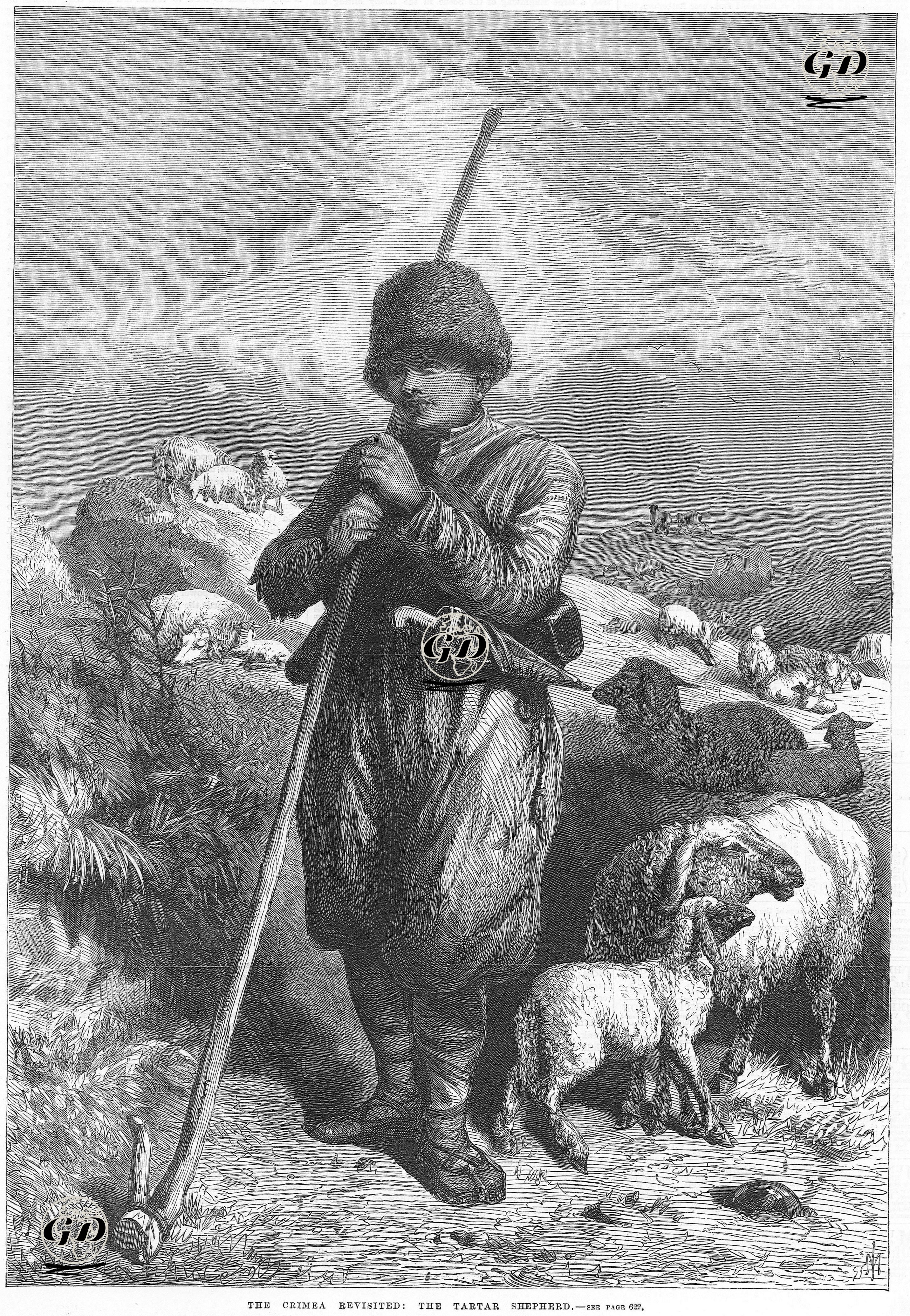 Tatar Çoban  -  - 1869