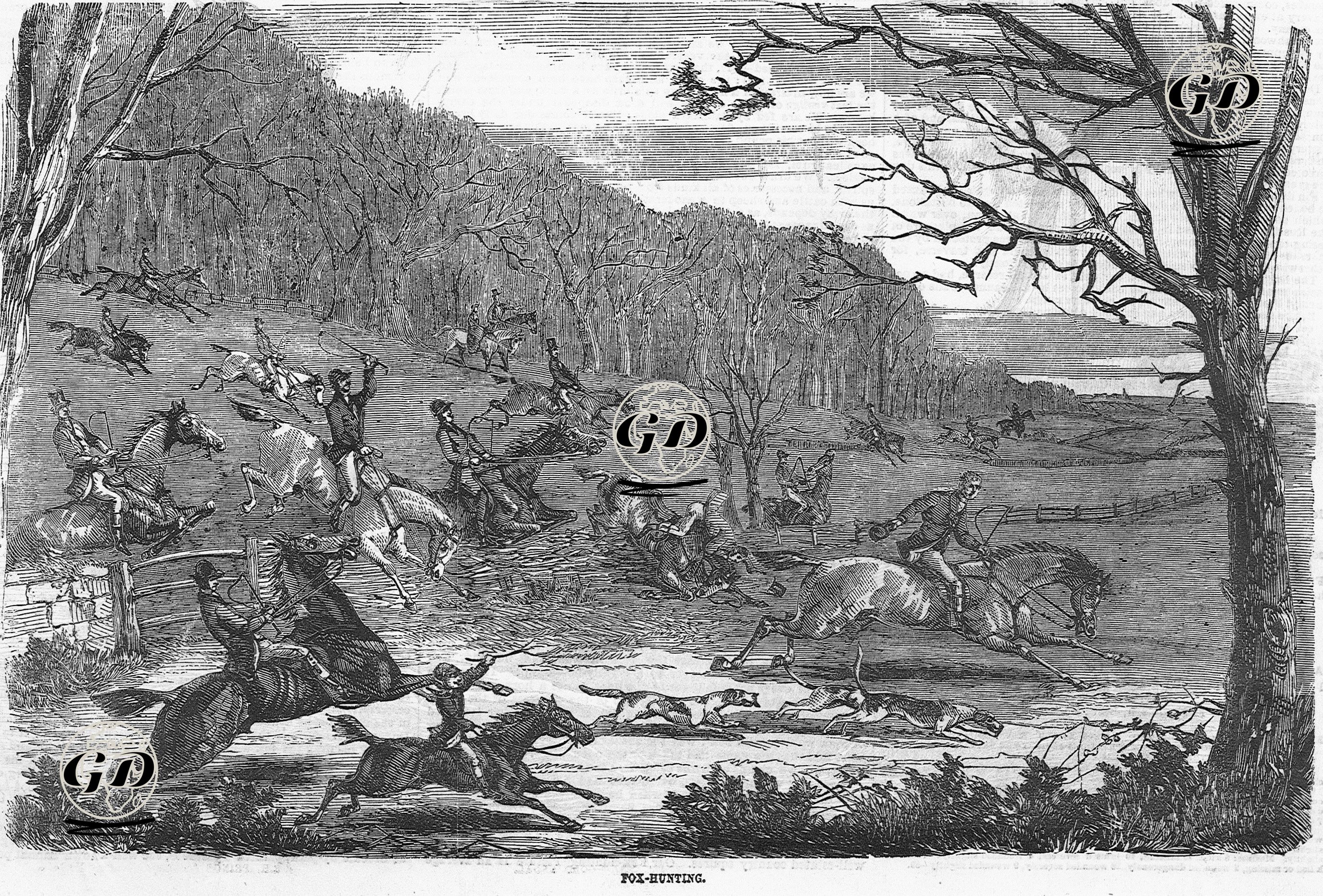 Tilki Avı  -  - 1854