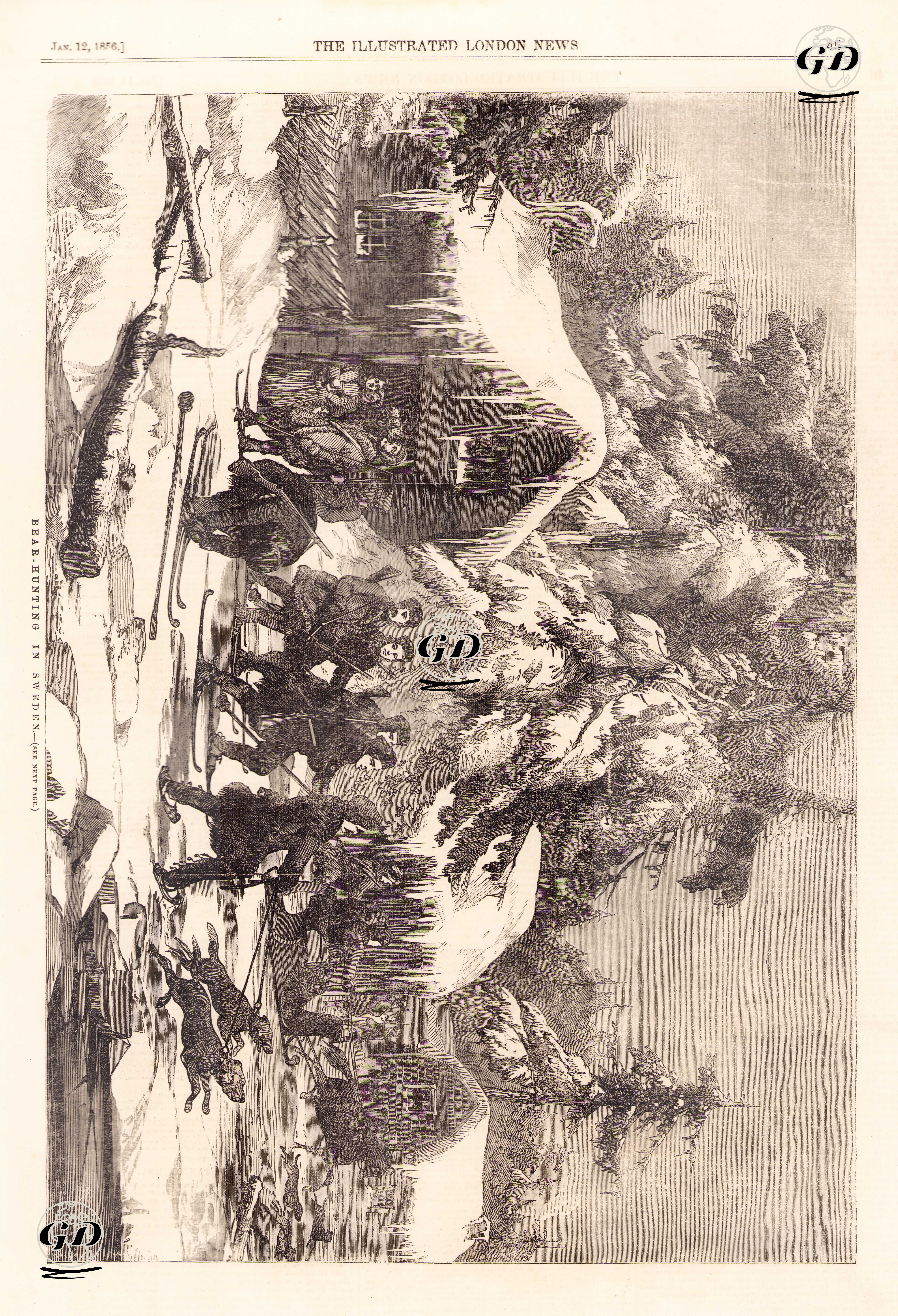 İsveç'de Ayı Avı  -  - 1856