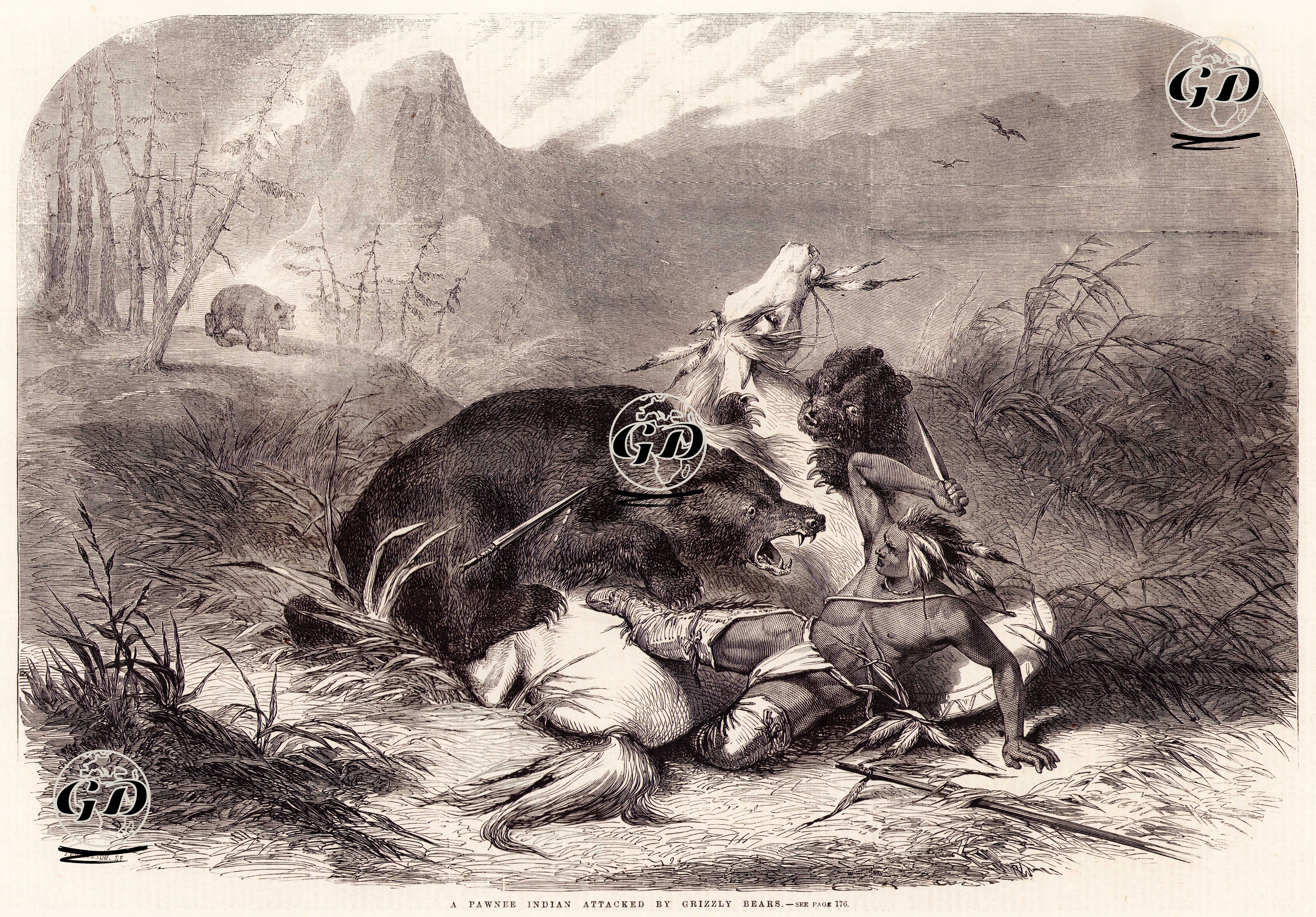 Bozayıların Saldırısına Uğramış Pavnili Kızırderili  - J.Wiilamson - 1860