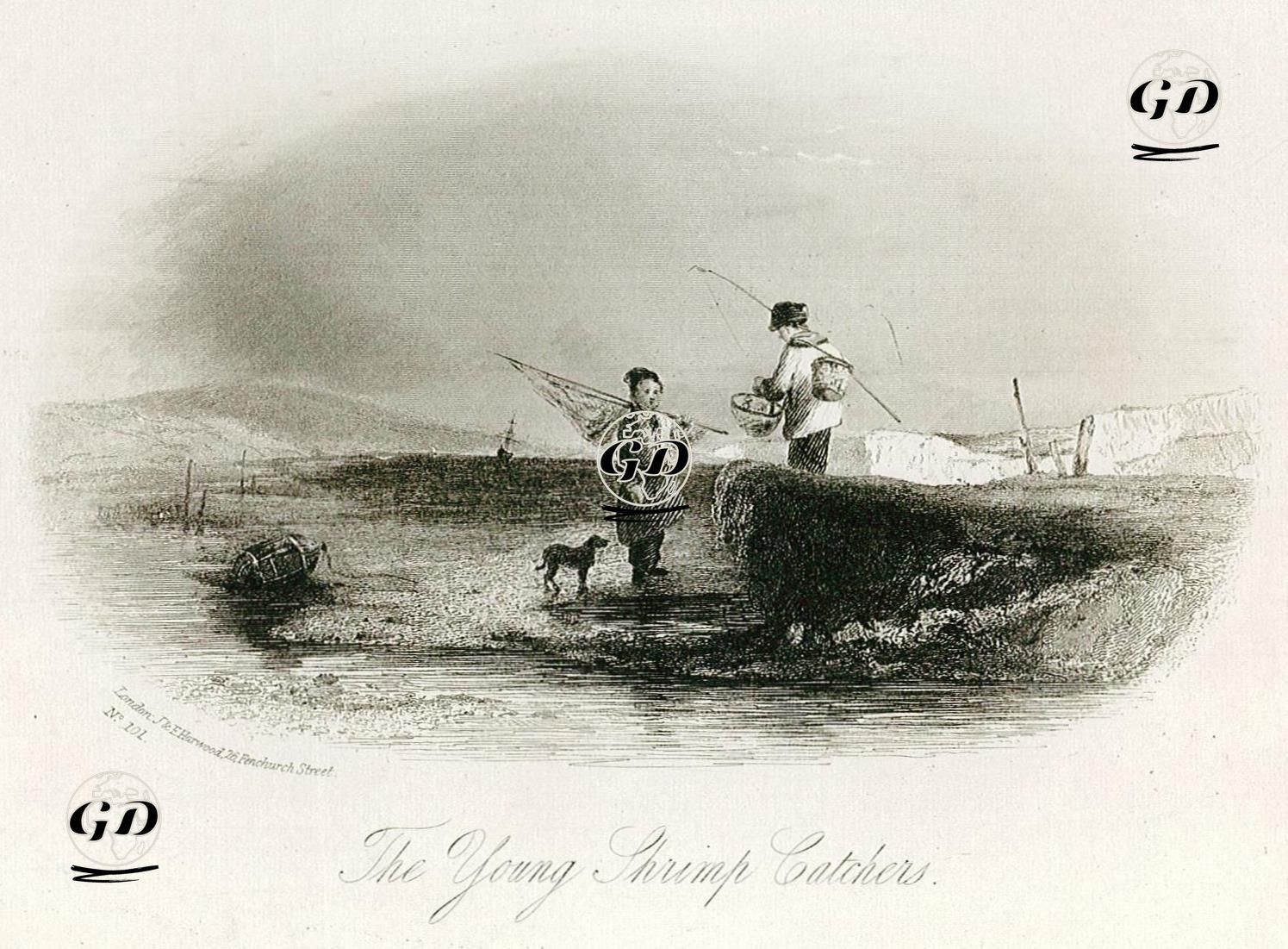 Genç Karides Avcısı -  - 1840's