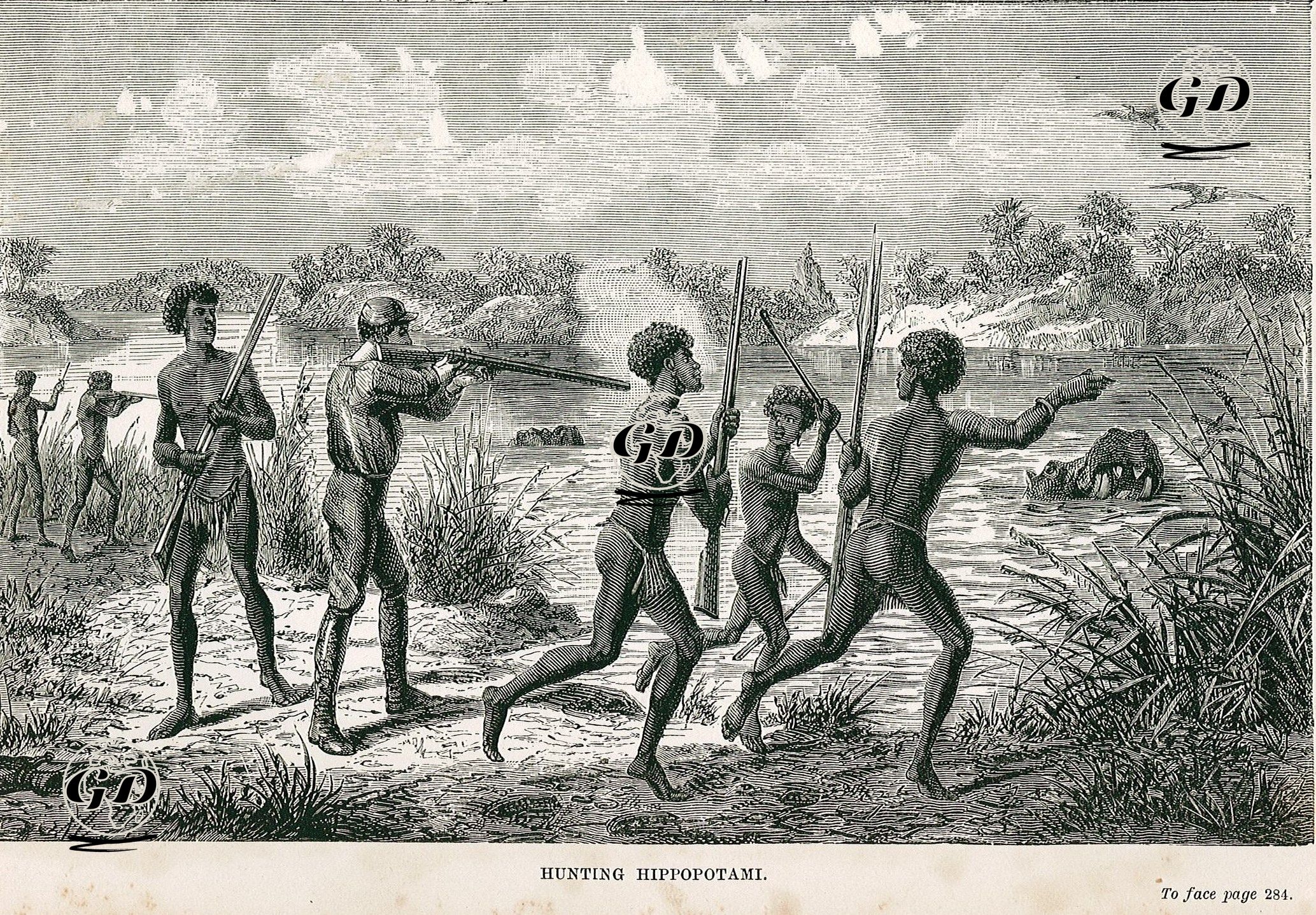Hunting Hippopotami -  - 1880's