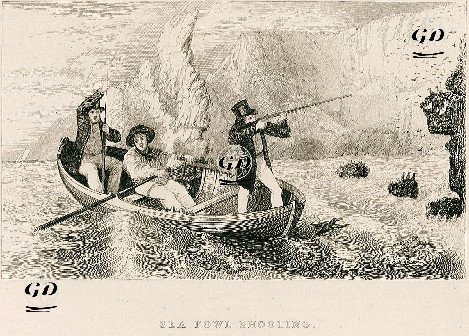 Deniz Kuşu Avı -  - 1830's
