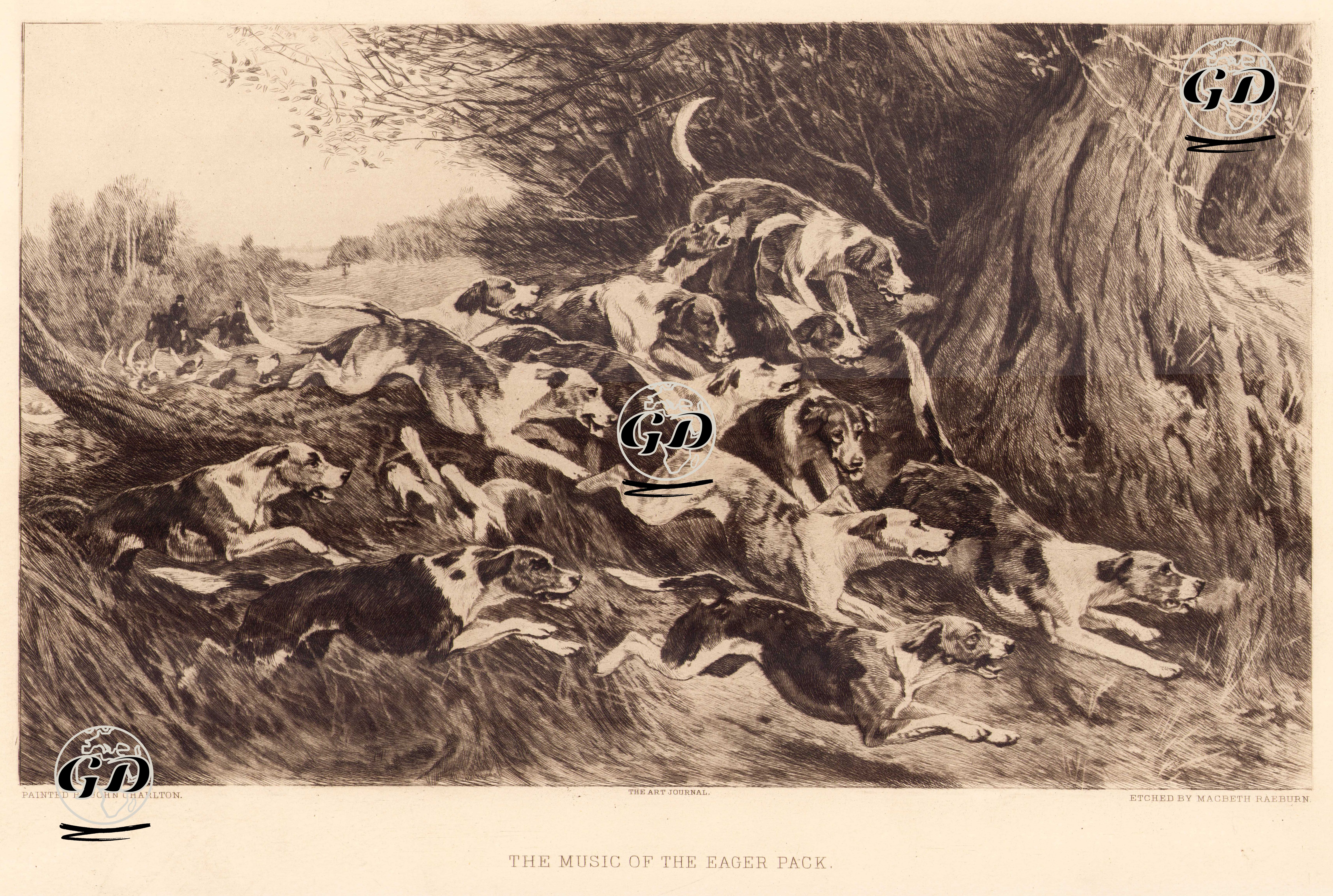 The Music Of The Eager Pack - John Charlton (1849-1917) - 1892