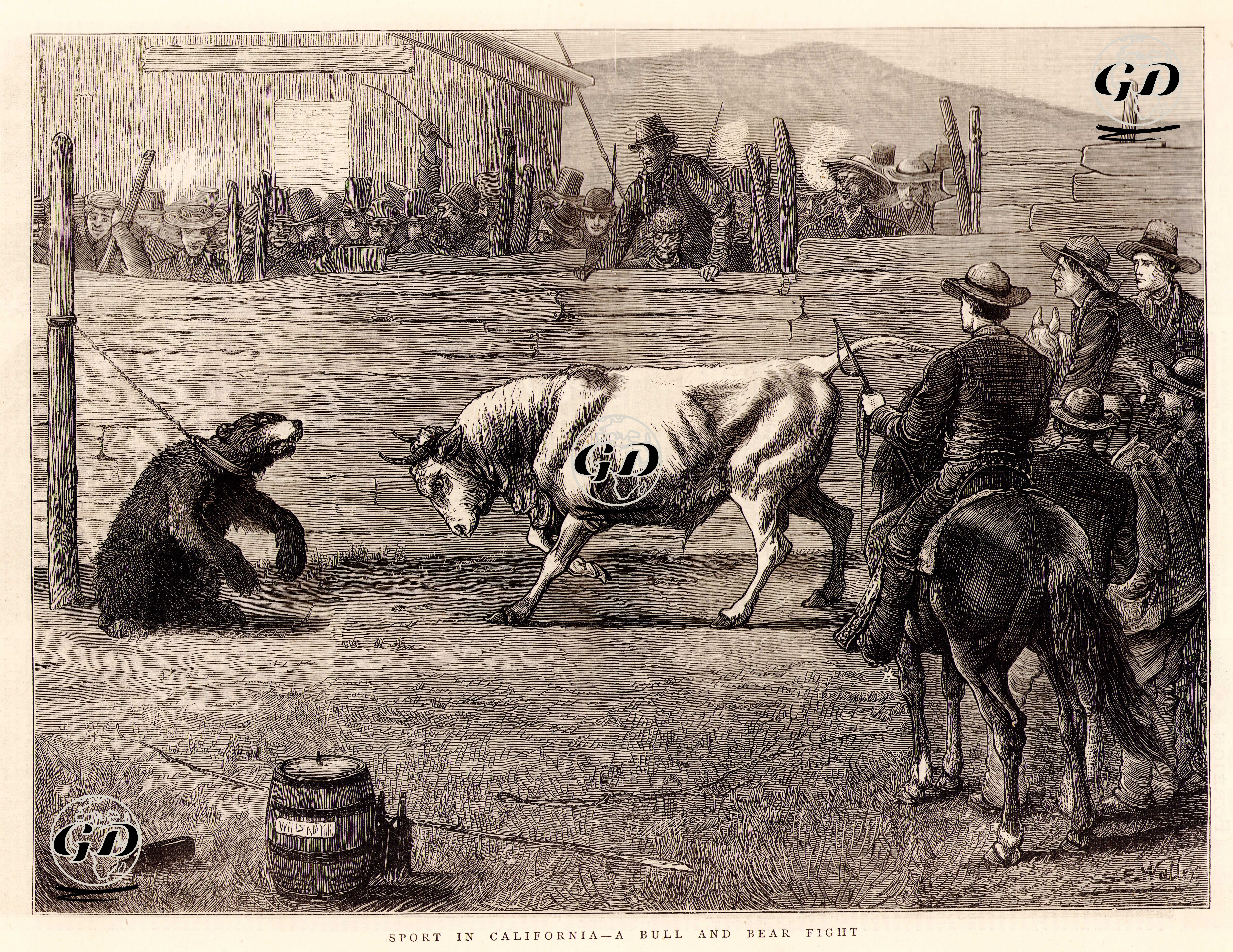 Kaliforniya'da Ayı Ve Boğa Dövüş Sporu  - Samuel Edmund Waller (1850-1903) - 1876