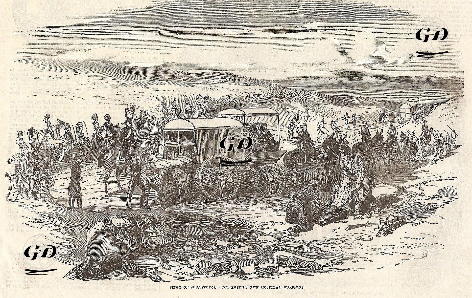 Kırım Savaşında Ambulans At Arabası -  - 1854