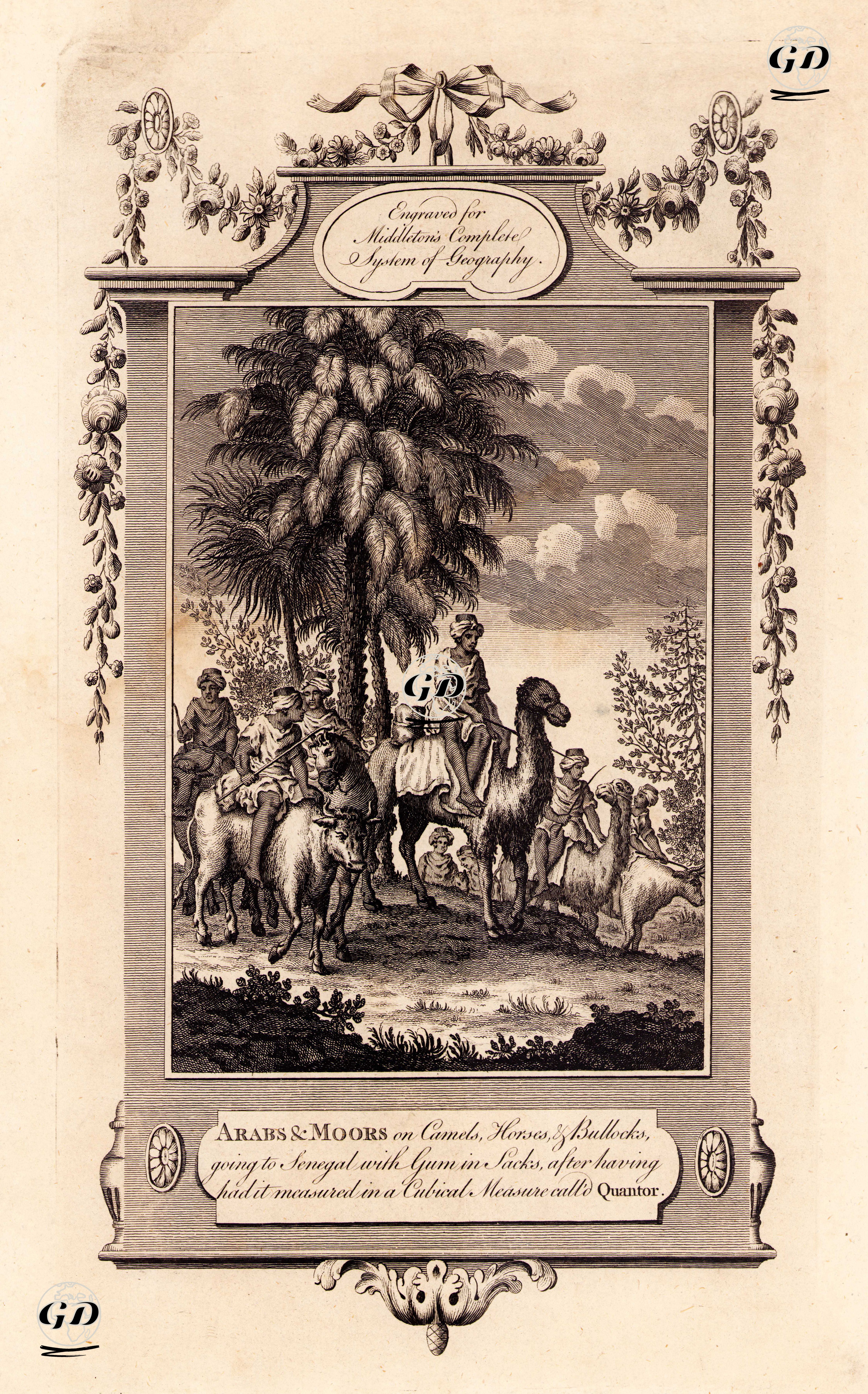 Arabs & Moors on Camels, Horses, & Bullocks, Going to Senegal With Gum in Sacks, After Having Had it Measured in a Cubical Measure Called Quantor -  - 1778