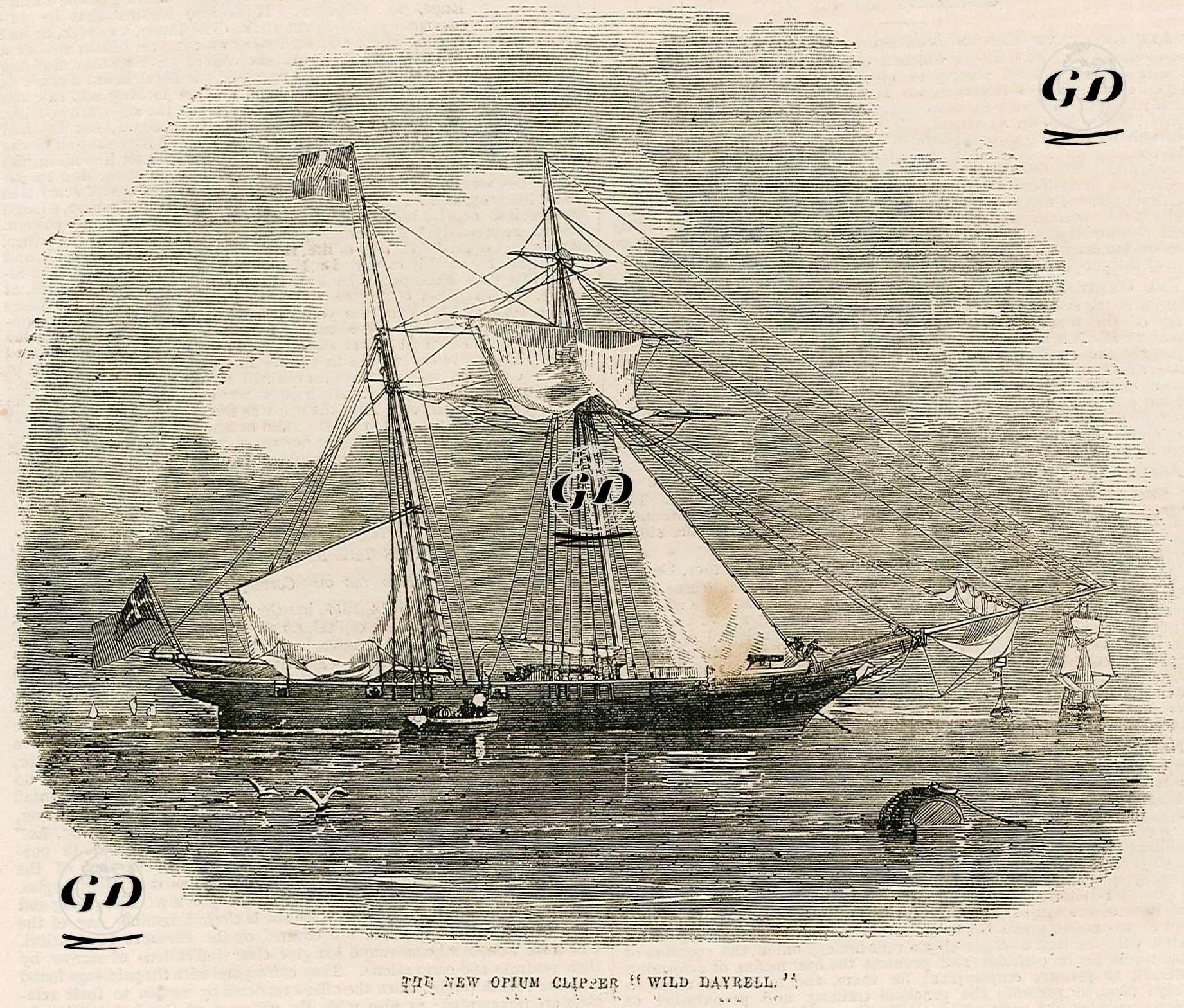 Sürat Gemisi "Wild Dayrell" -  - 1855