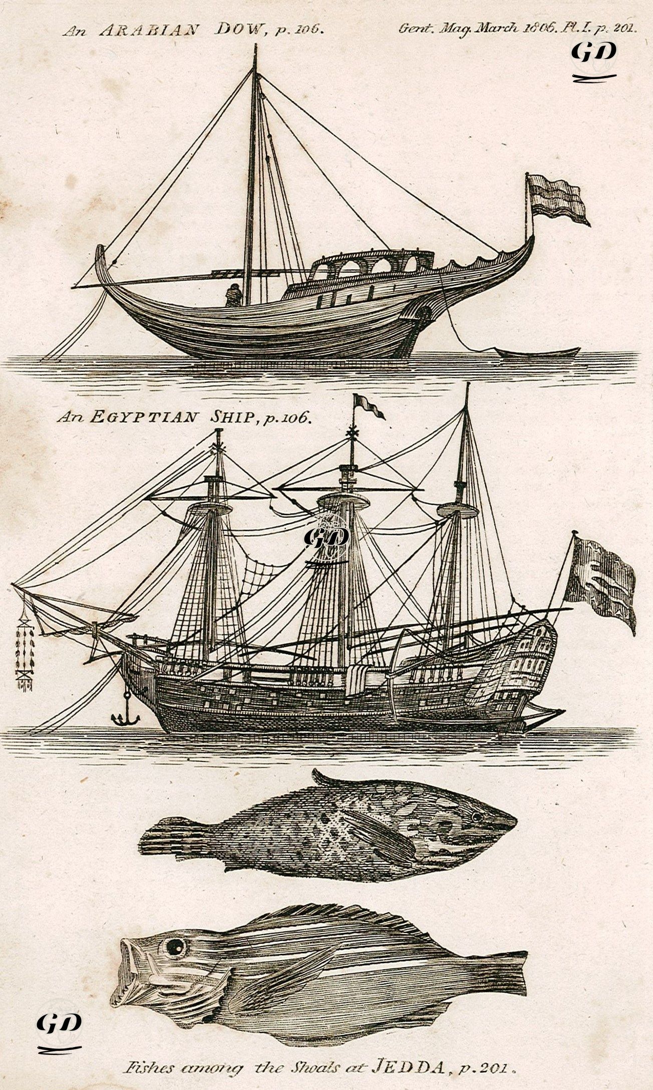 Kızıldenizdeki Arap Gemisi, Mısır Gemisi ve Cidde Şehri Sahilindeki Balıklar -  - 1806
