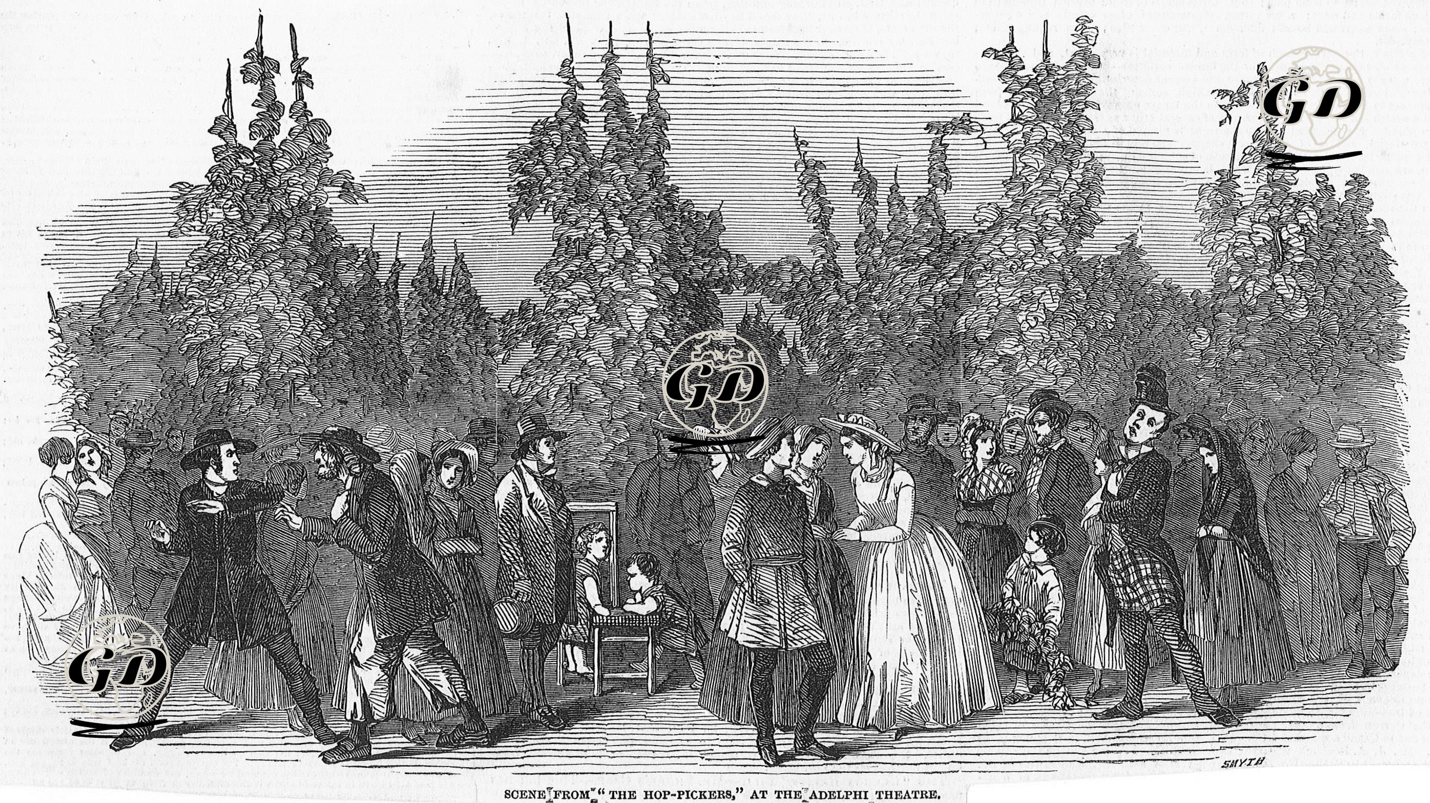 "Şerbetçiotu Toplayıcıları" Oyunundan Bir Sahne, Adelphi Tiyatrosu  -  - 1849