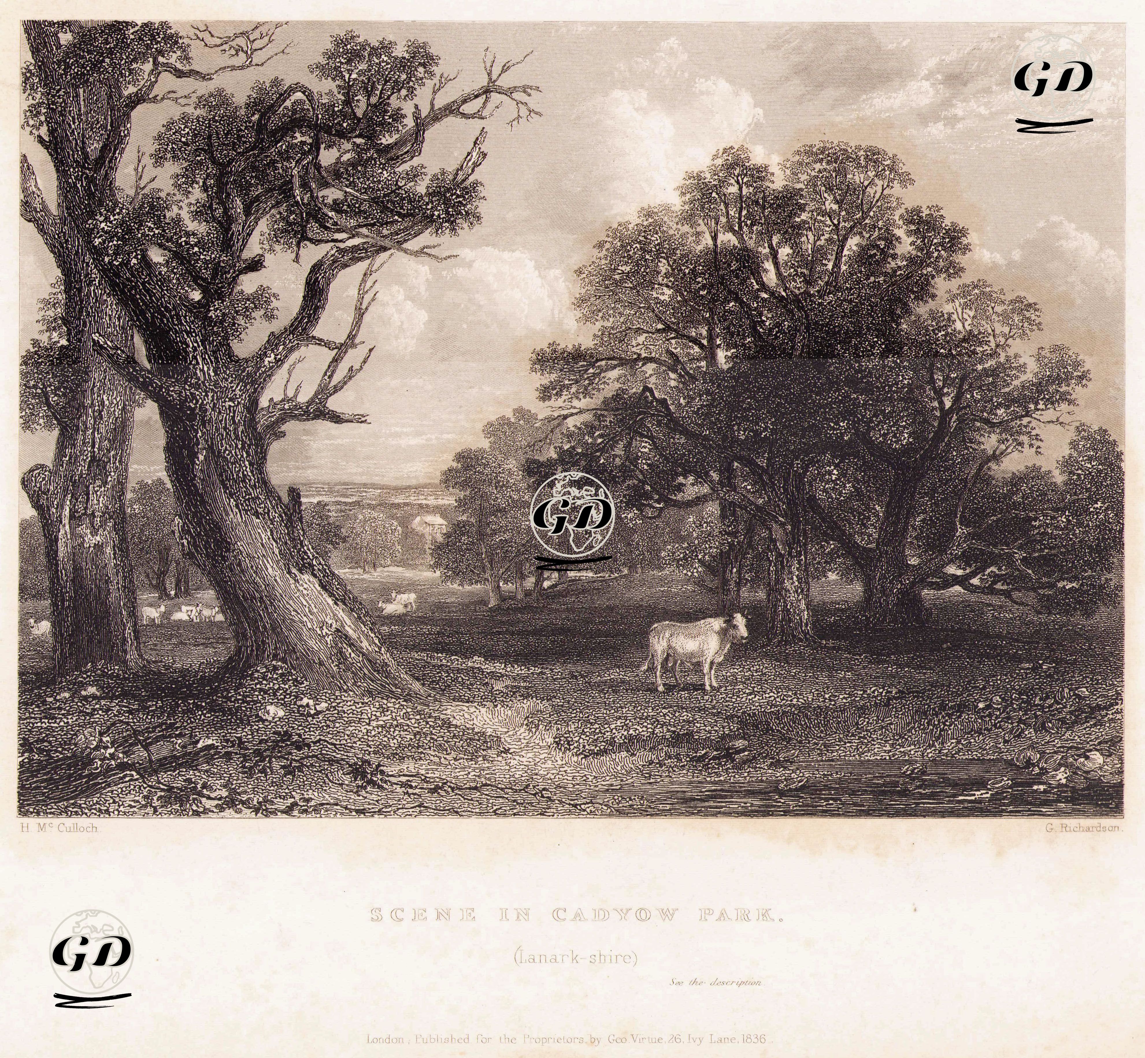 Cadzow Park, Lanarkshire - Horatio MacCulloch (1805-1867) - 1836