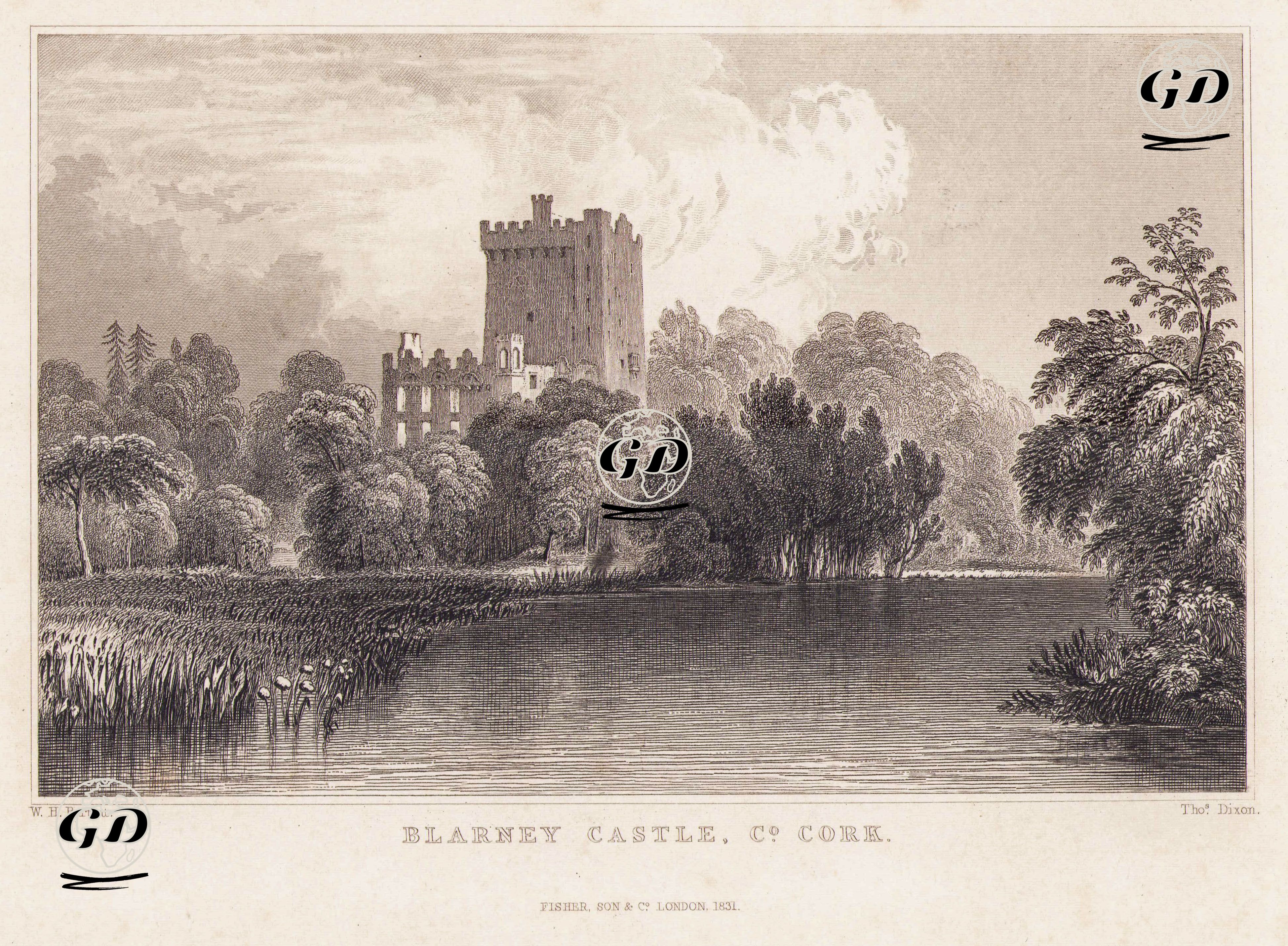 Blarney Kalesi, Cork - William Henry Bartlett (1809-1854) - 1831