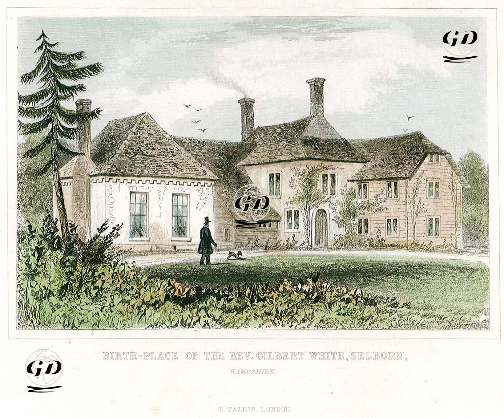 İngiliz Doğa Bilimci Gilbert White'nin Doğduğu Ev, Selborn, Hampshire -  - 1835