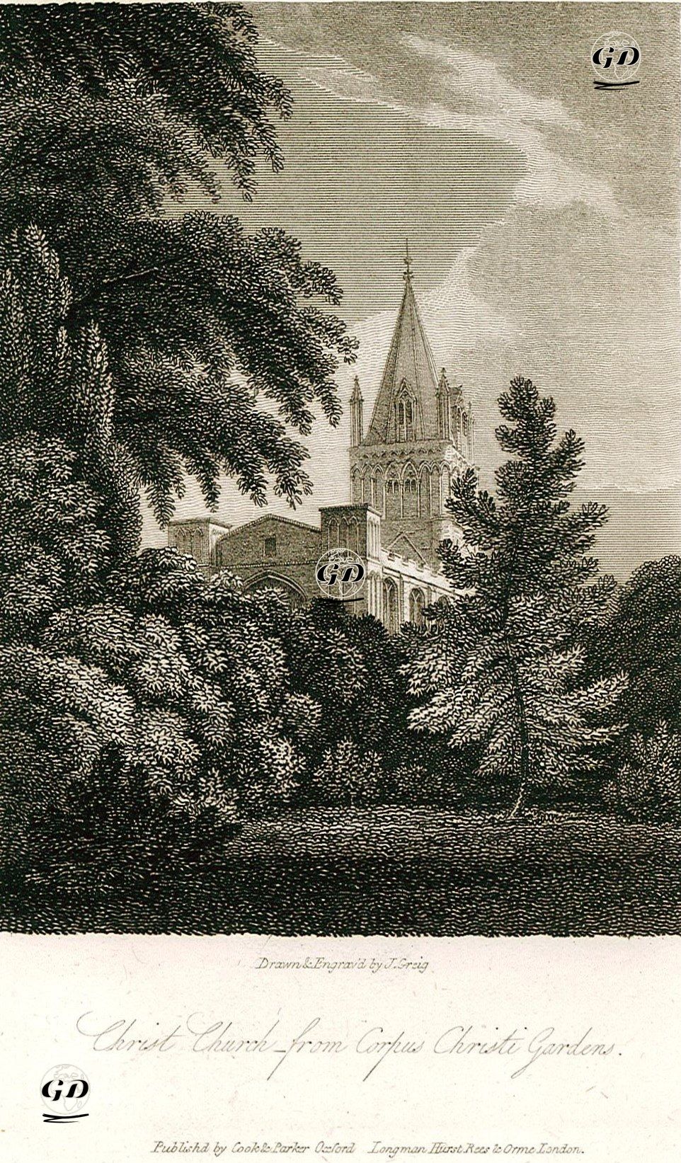 Corpus Bahçesinden Christ (Hazreti İsa) Kilisesi - John Greig (Active 1800-1853) - 1810's