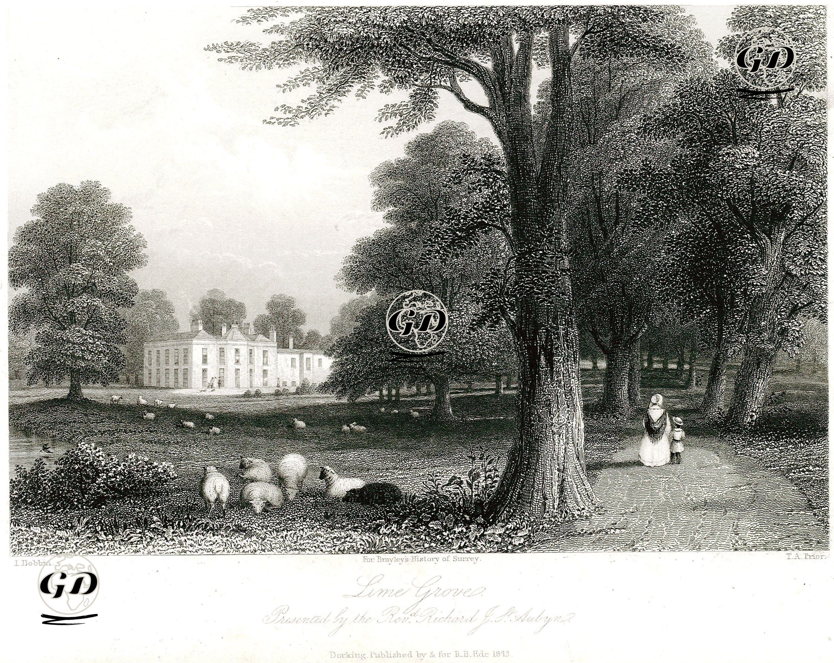 Lime Grove Malikhanesi - John Dobbin (1815-1888) - 1843