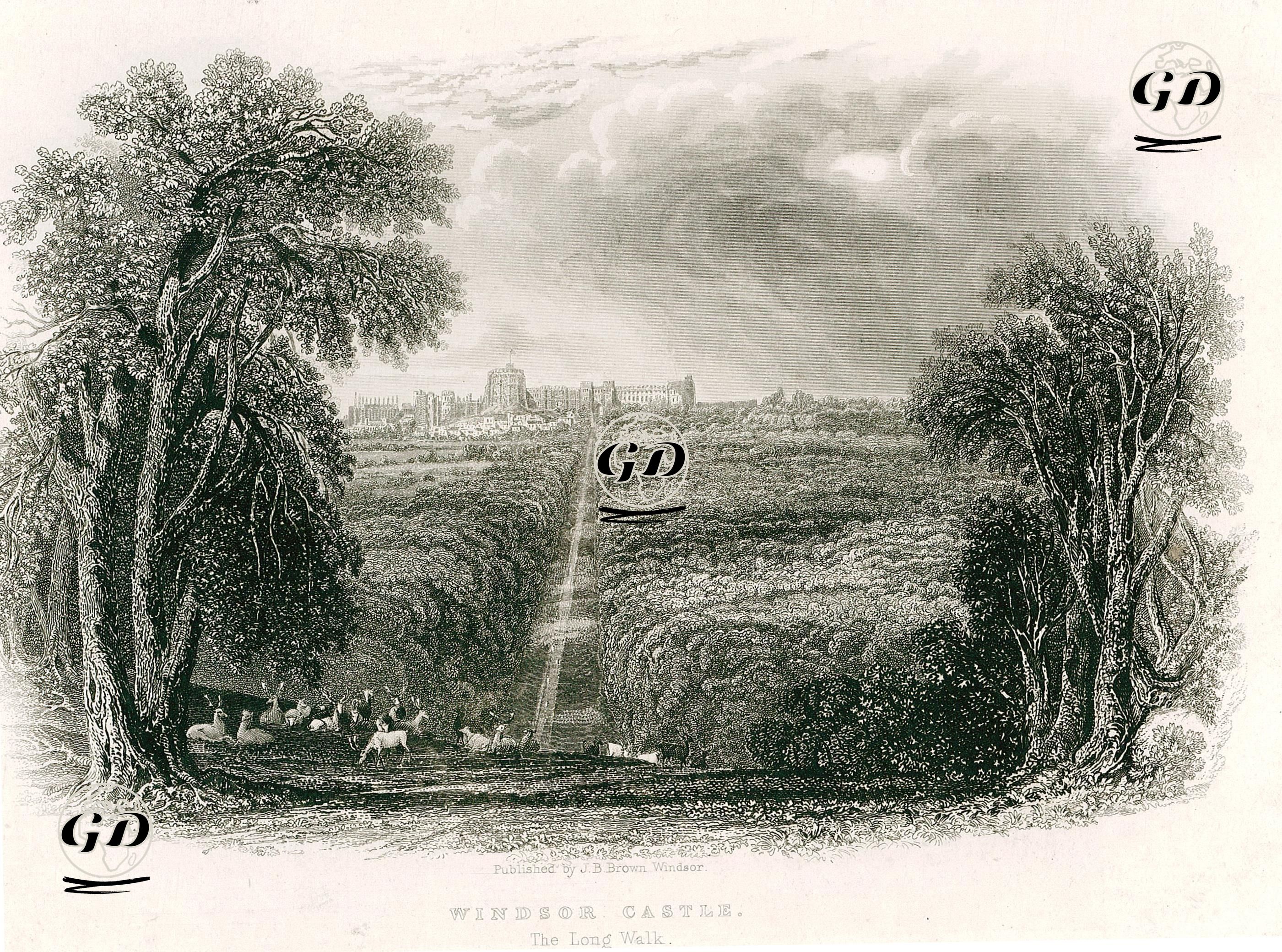 Windsor Sarayı (Kalesi) Ve Uzun Yolu -  - 1840's